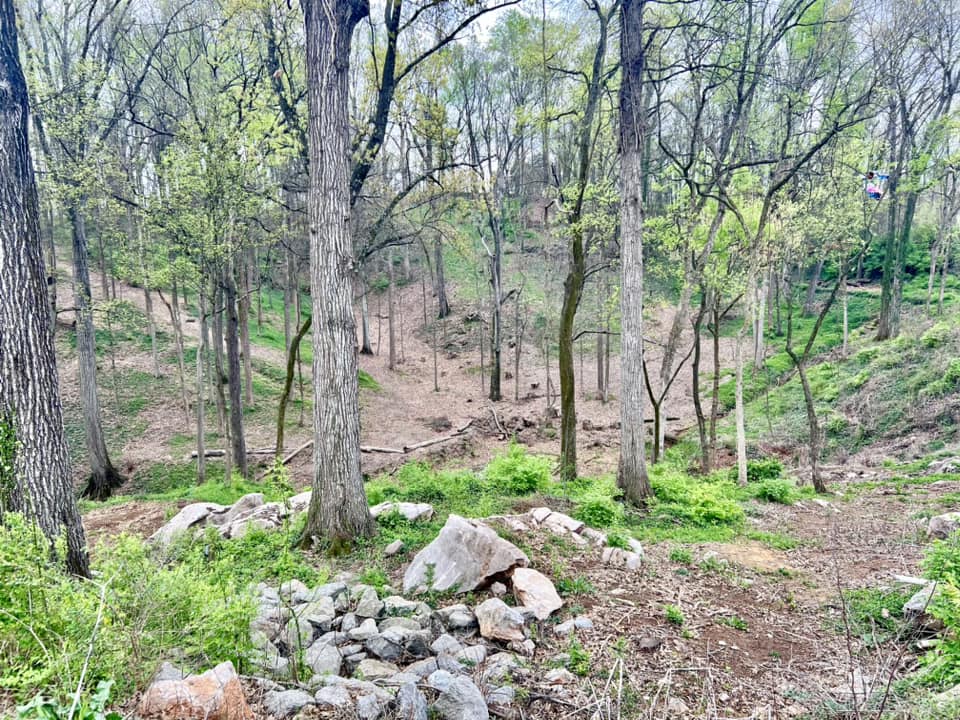 Zoo Knoxville broke... - City of Knoxville - Government