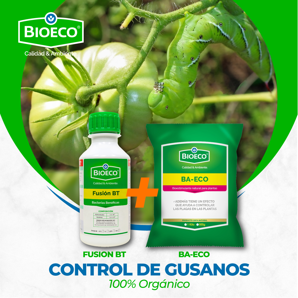 Bioeco CR - FUSION BT + BA-ECO = CONTROL DE GUSANO EN... | Facebook
