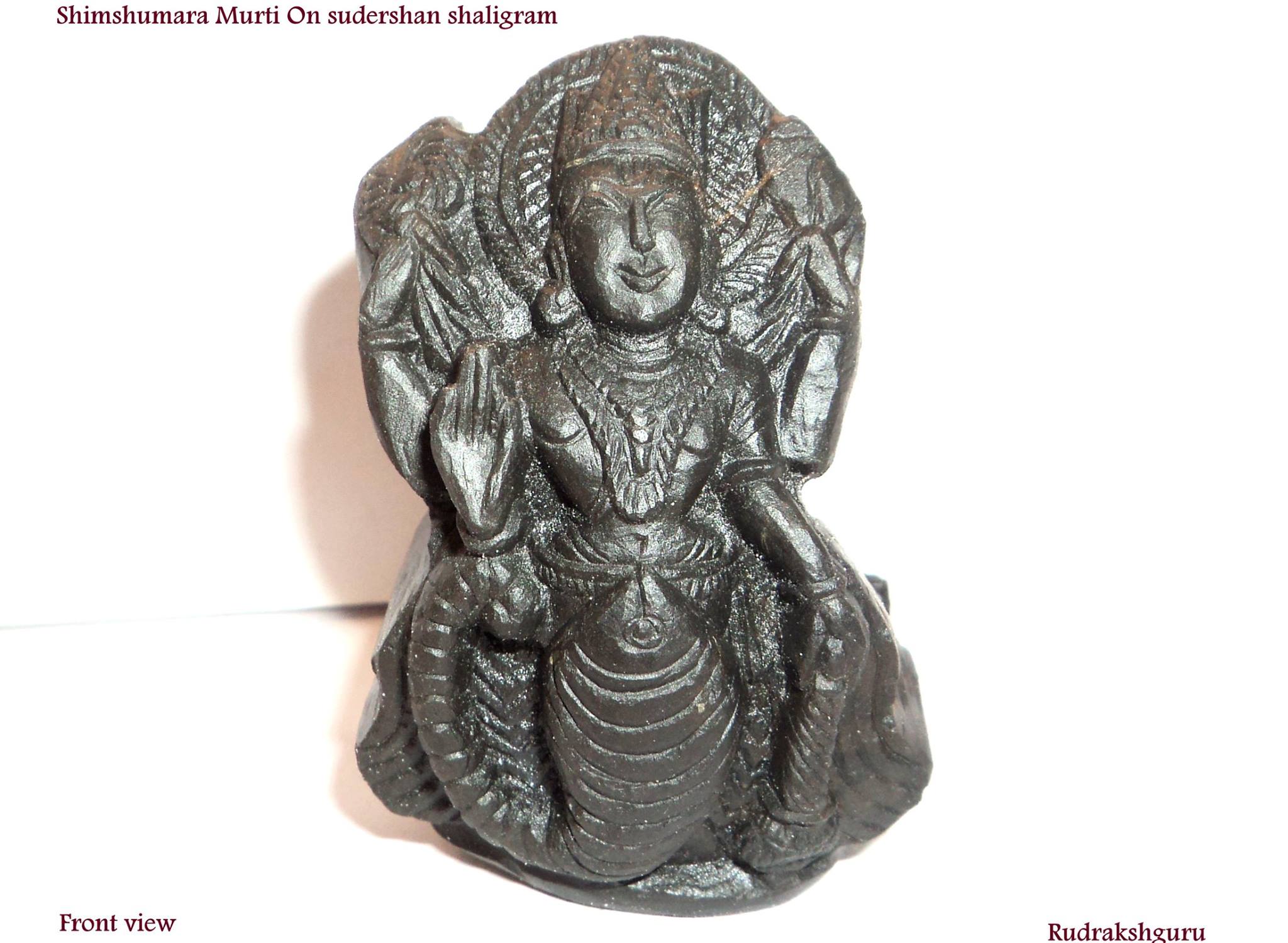 Rudrakshguru - Shimshumara Murti Carved On Sudershan...