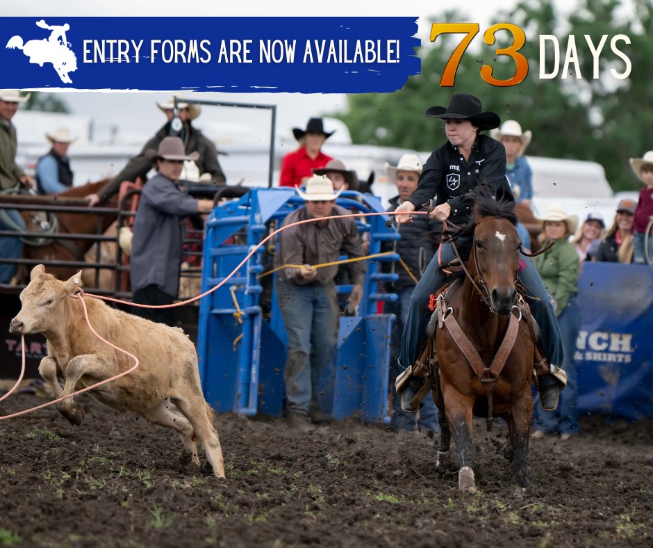 Stonyford Rodeo - Entry forms for our Amateur Events are... | Facebook