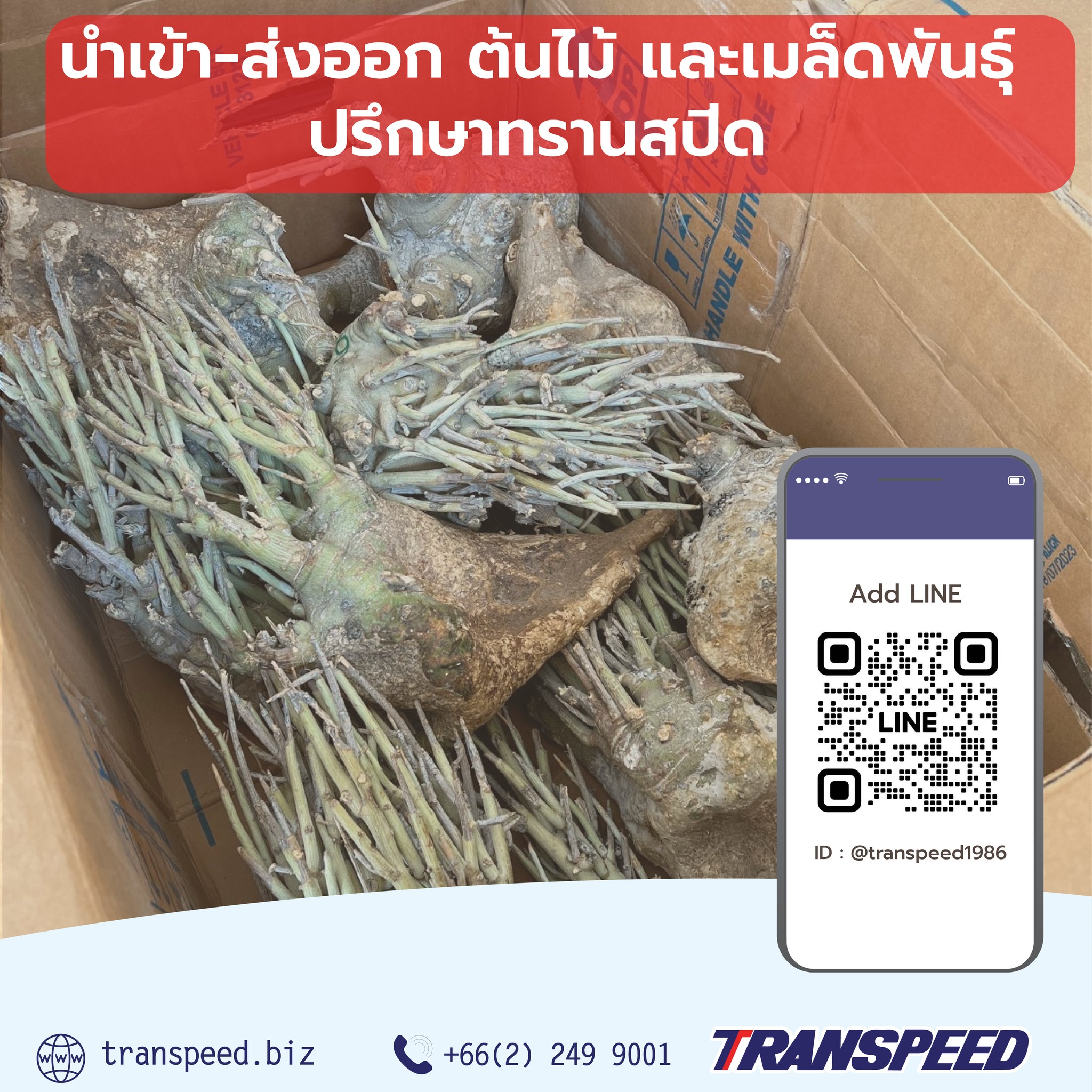 Transpeed บริการขนส่งสินค้าเร่งด่วนระหว่างประเทศ ครบวงจร | Facebook