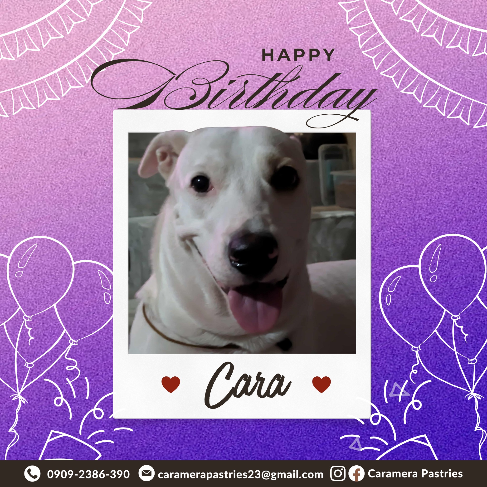 CaraMera - Meet Cara, the photogenic inspiration behind the 