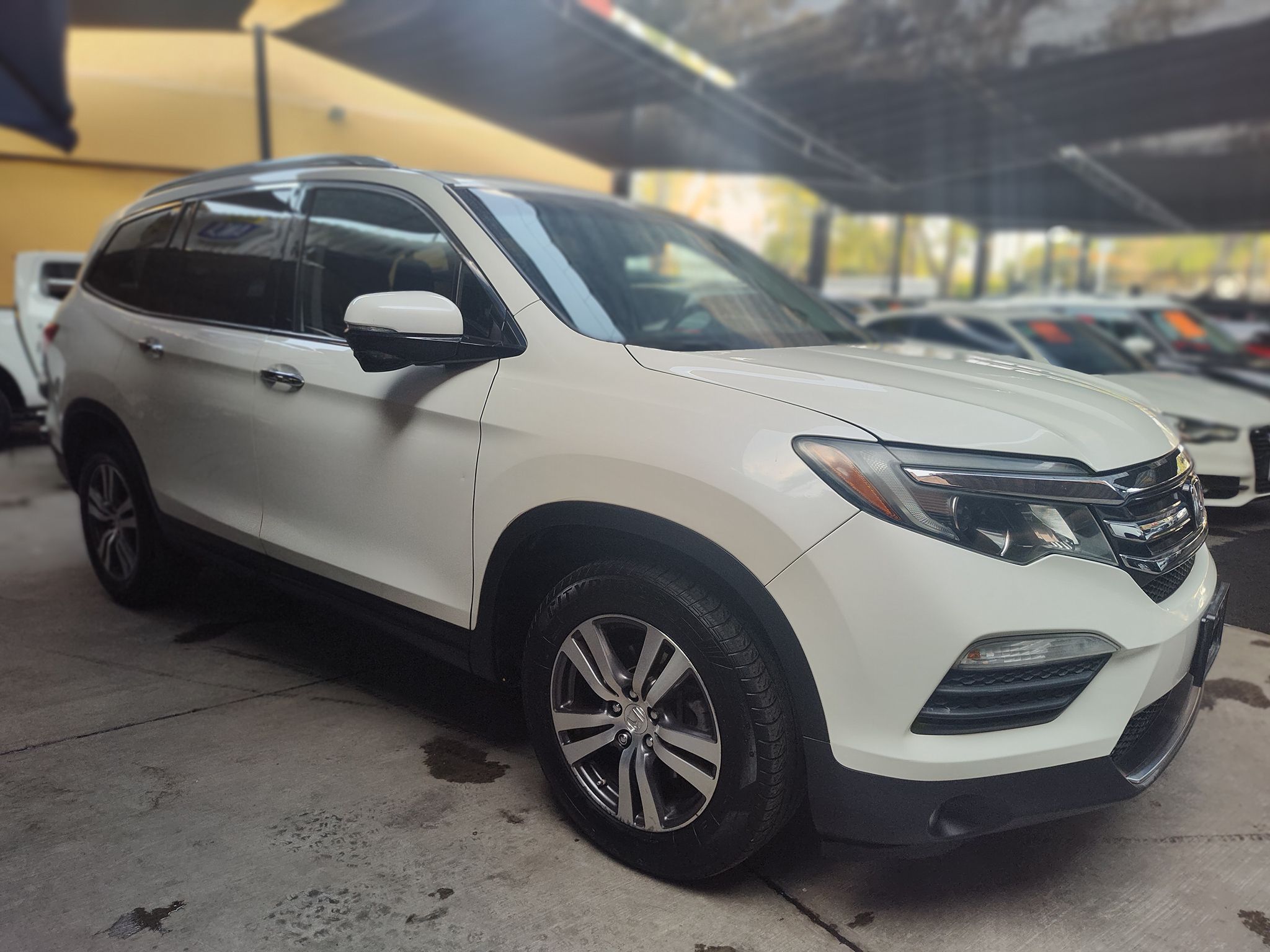 AUTO PLAZA GDL