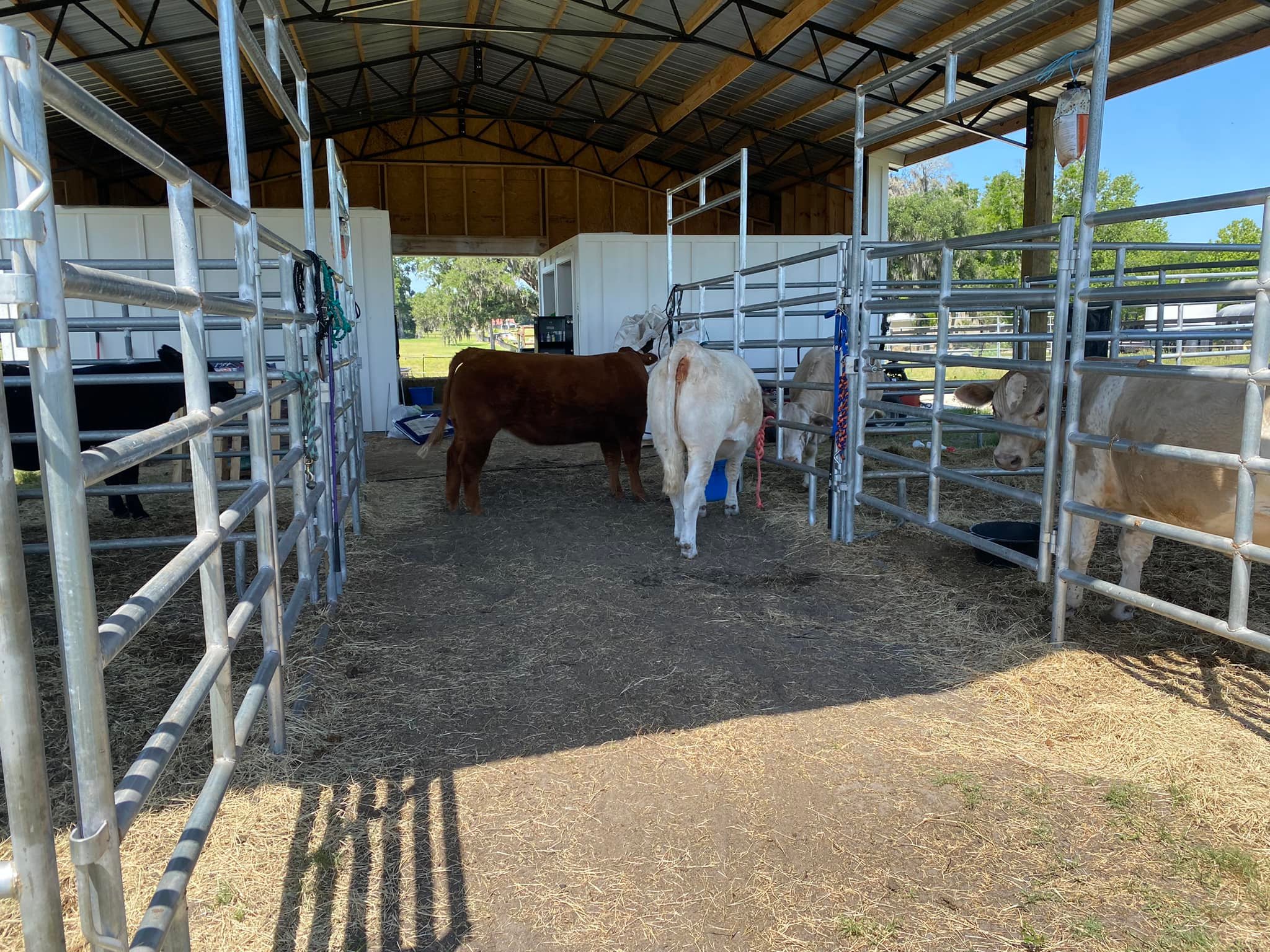 Triple R Farm | Ocala FL