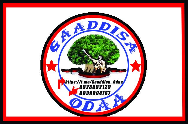 Gaaddisa Odaa Computer #Online | Addis Ababa