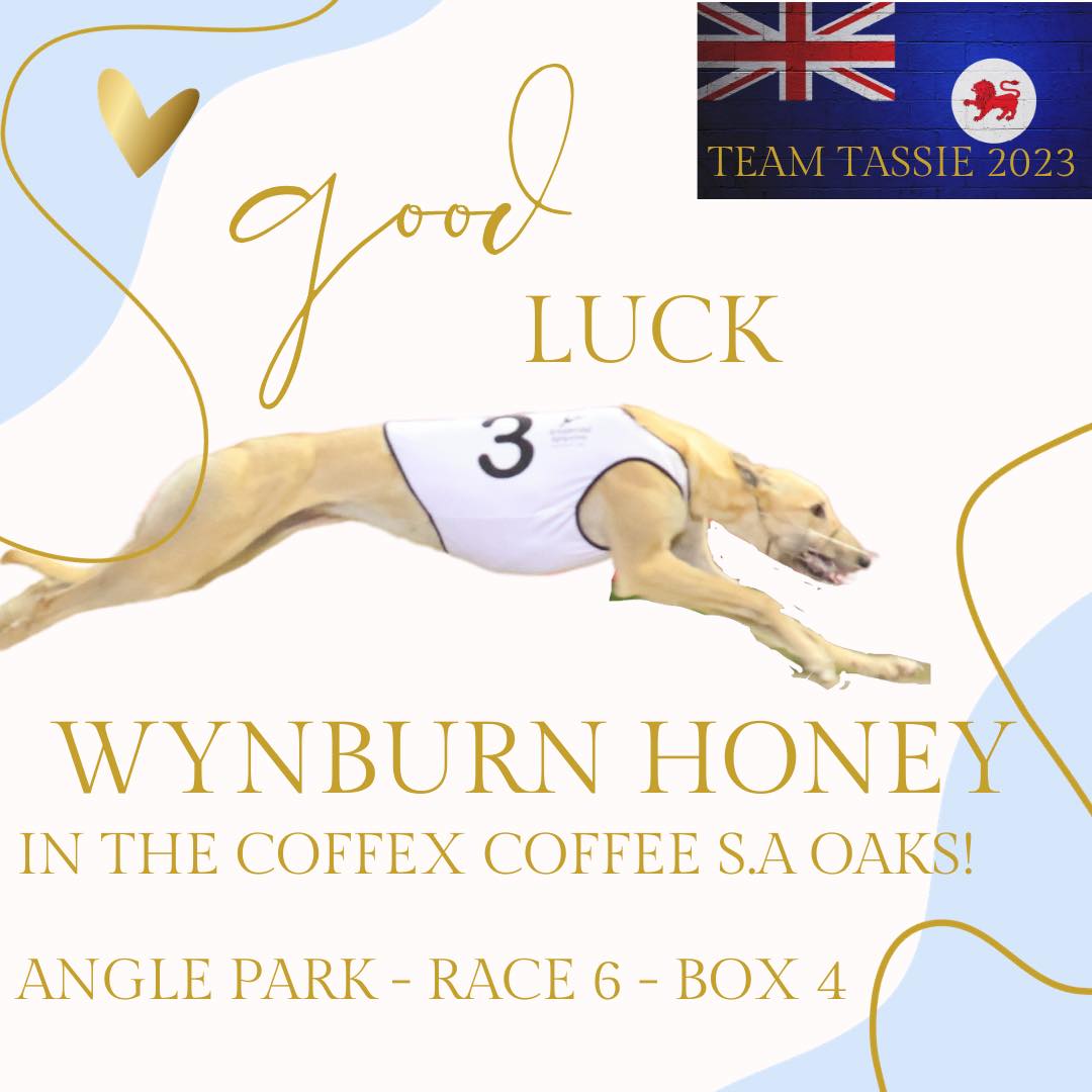 Our Best Wishes to Wynburn... - Hobart Greyhound Racing Club