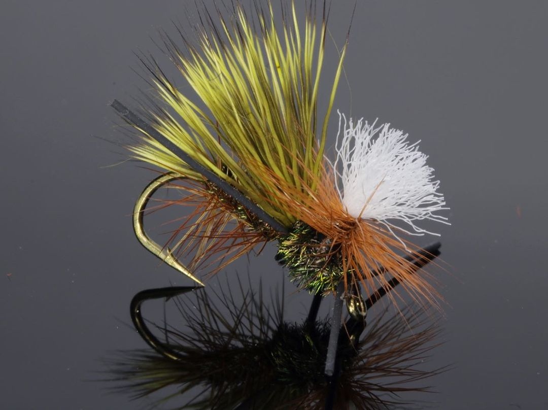 MidCurrent - 