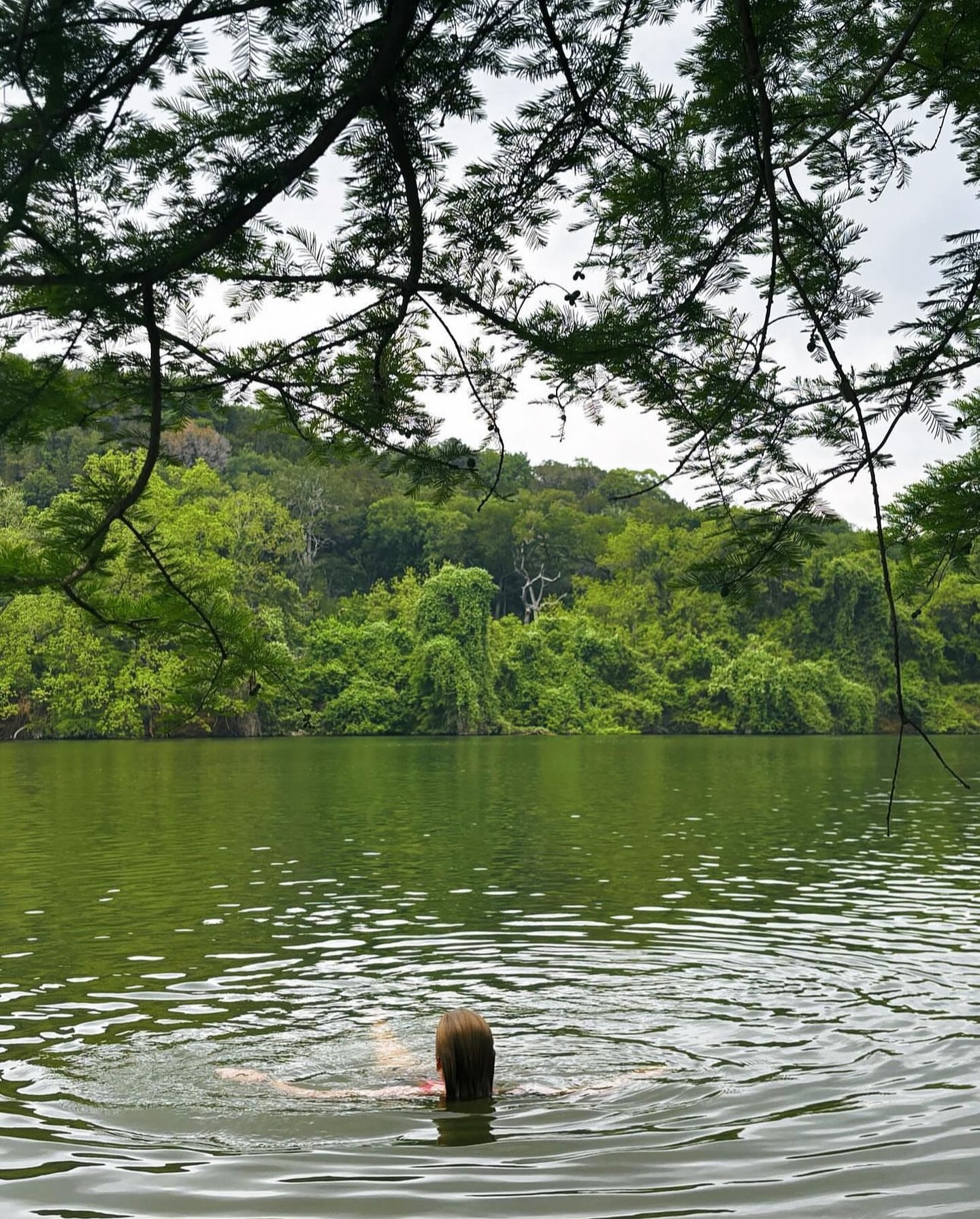 Hike - Commons Ford Ranch Park is one of the best public parks on Lake ...