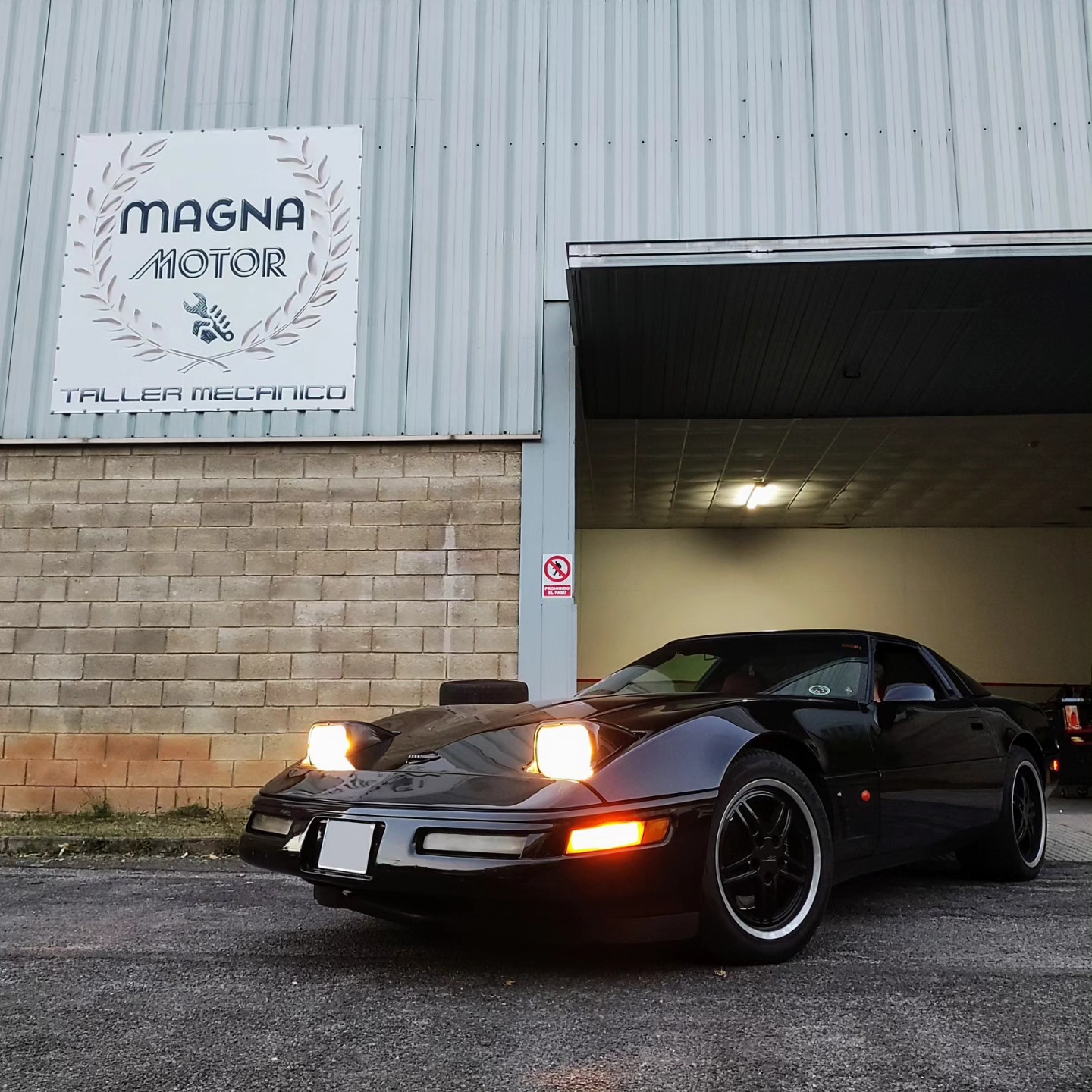 Magna Motor