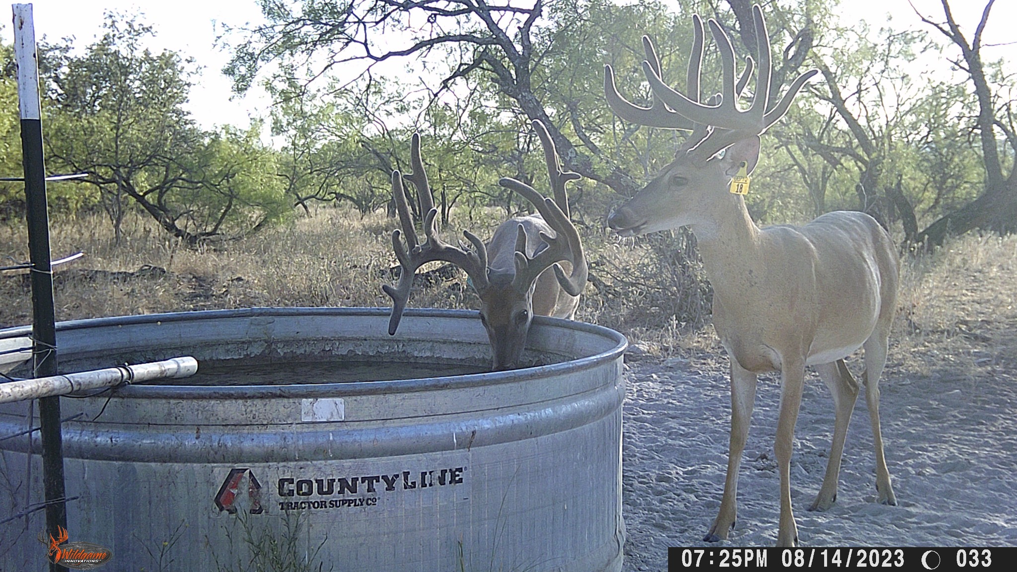 Come hunt Lucky Draw Ranch this fall... - Lucky Draw Ranch | Facebook