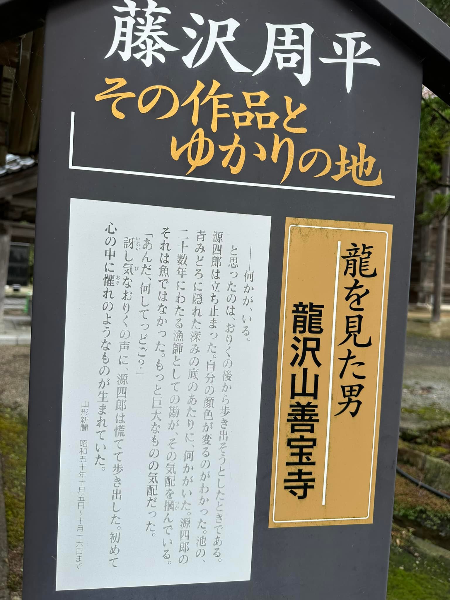 値下げ[幻の本！]龍を見た男 海と船と善宝寺