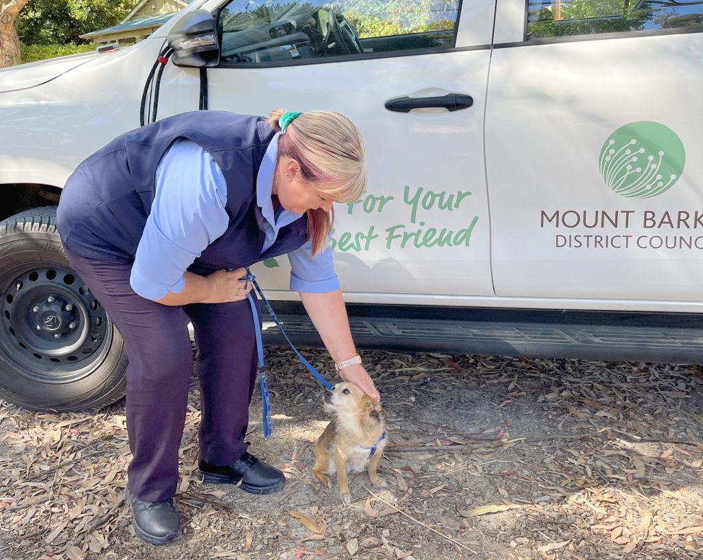 DO YOUR PART 🐶 Our Animal... - Mount Barker District Council | Facebook