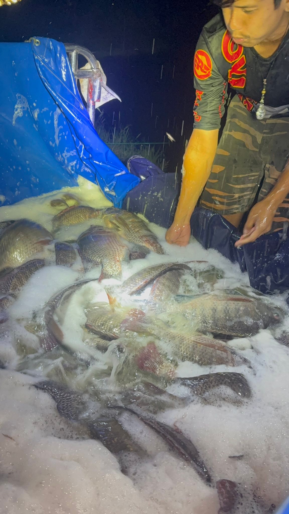 MAYYA Fishing & cafe | Amphoe Lam Luk Ka
