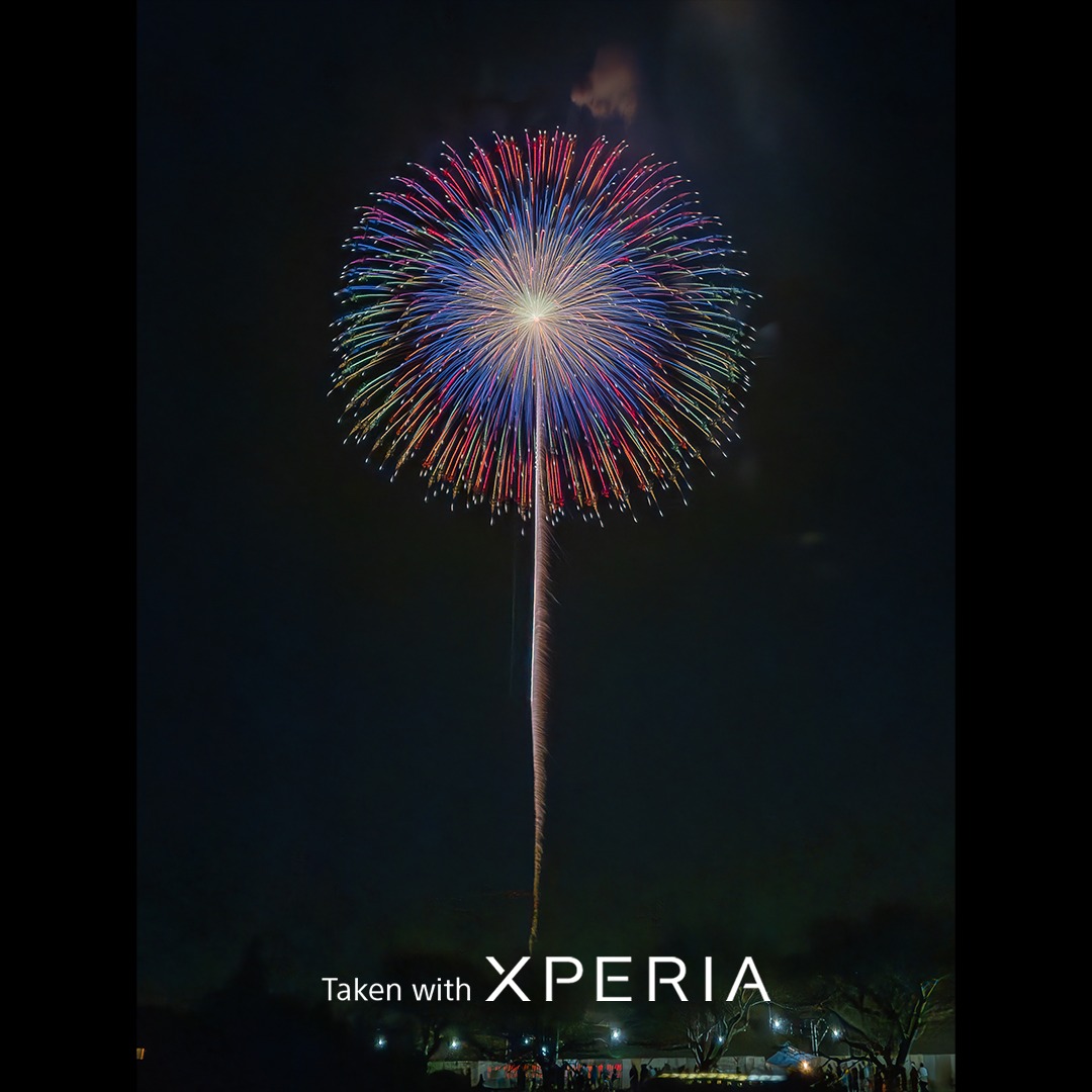 Flowers that bloom at night 🎆 Behold the beauty of world-class