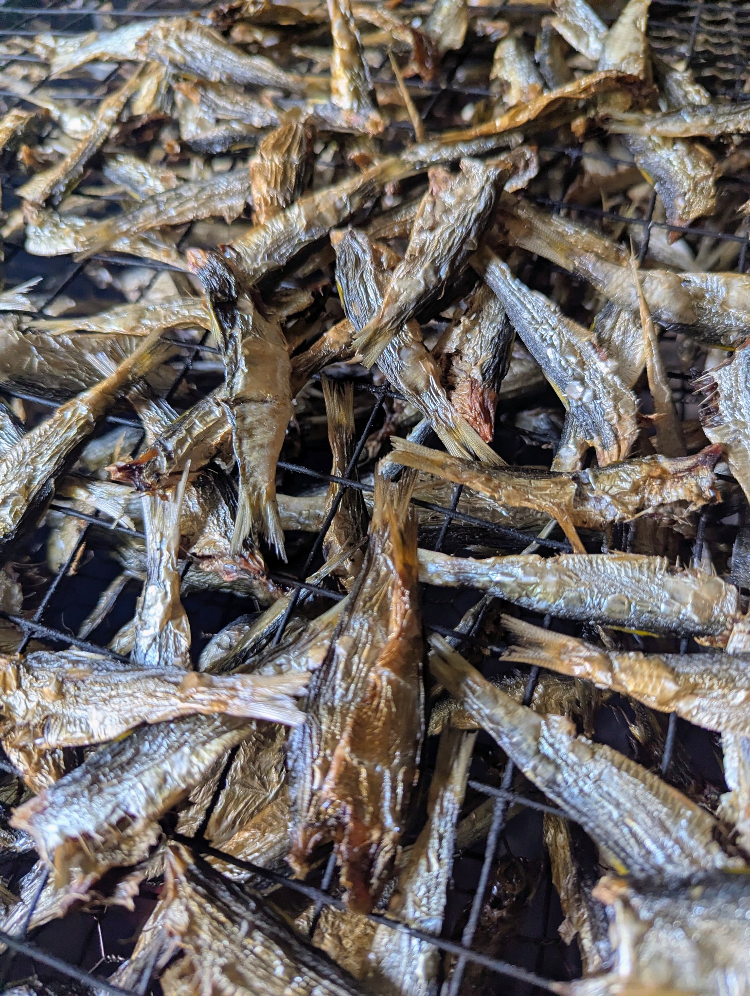Padaviya Flavors | Anuradhapura