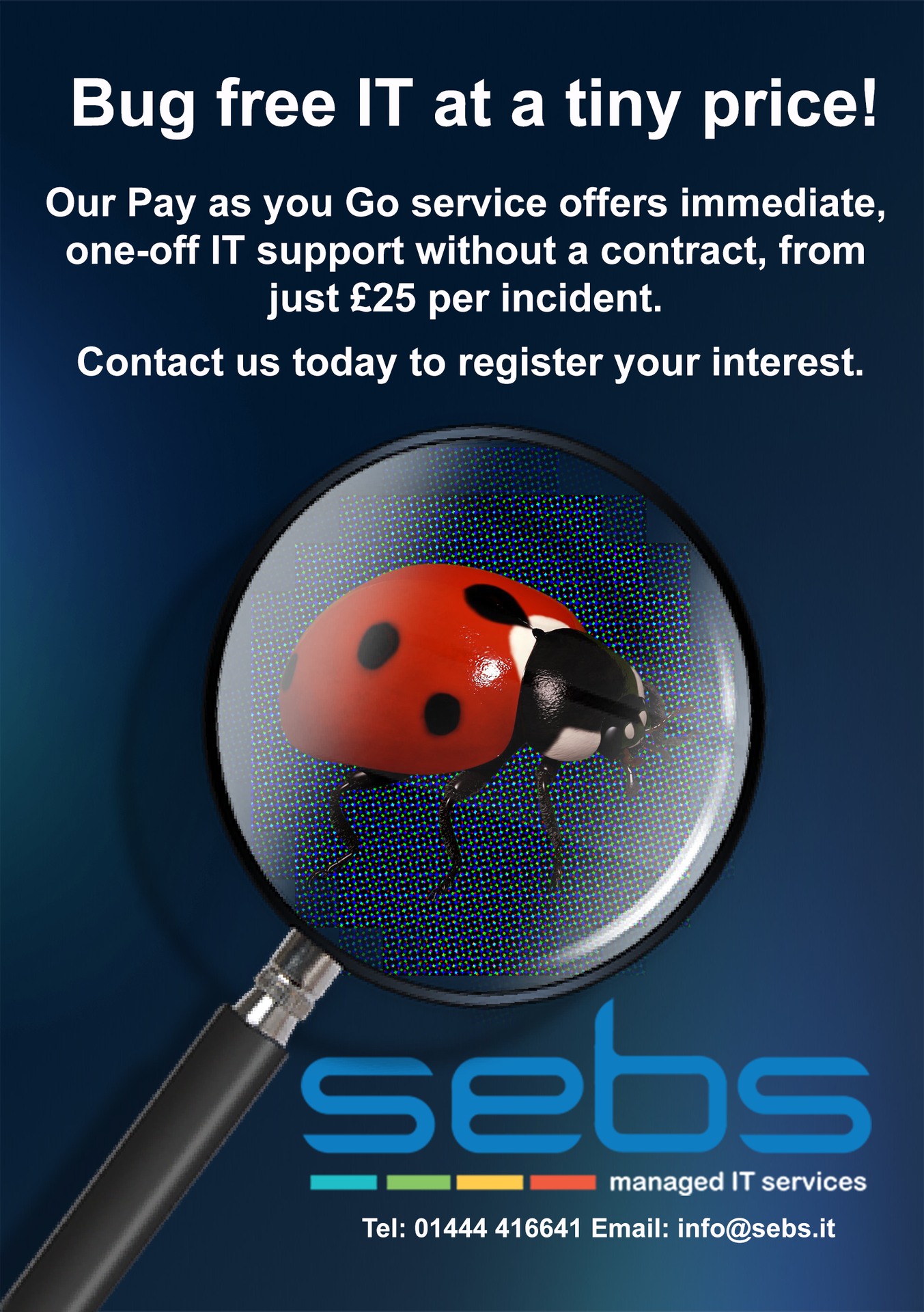 SEBS IT Support | Haywards Heath