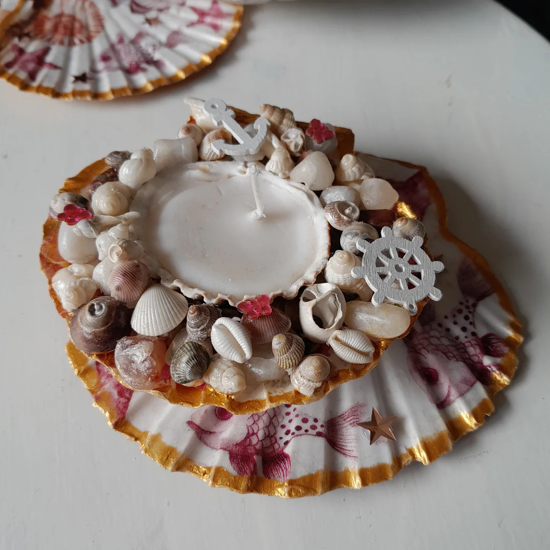 Irish Sea Shell Crafts | Wexford