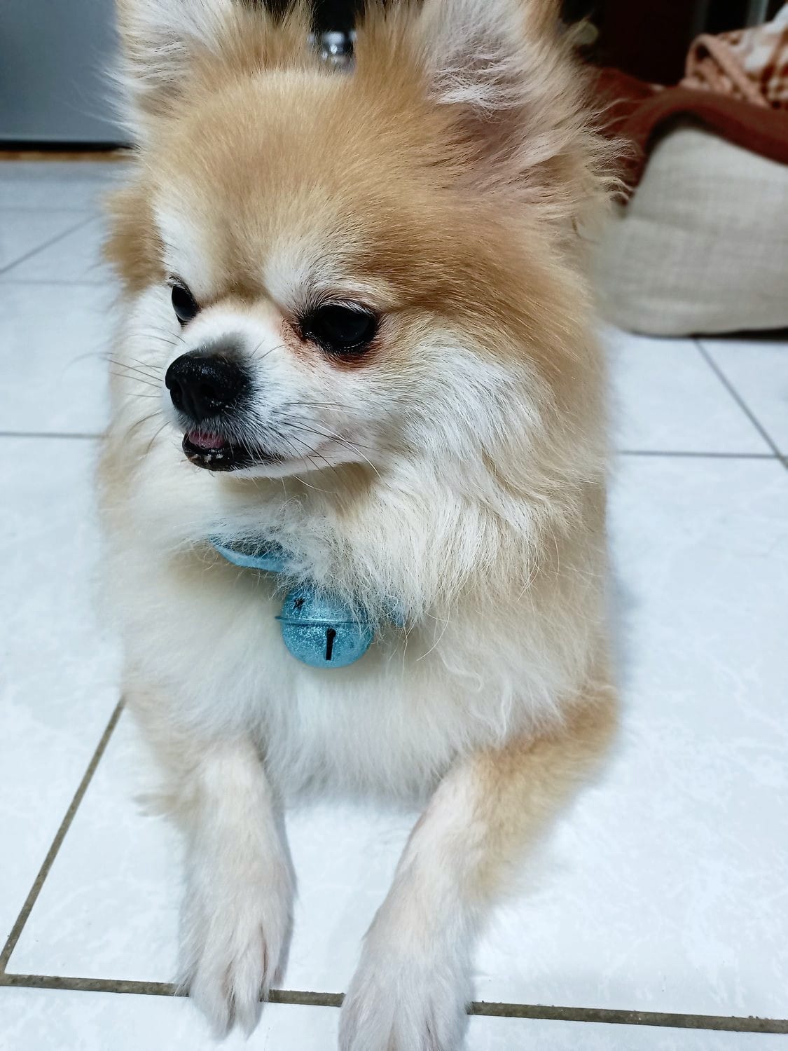 咚隆鏘，東東鏘