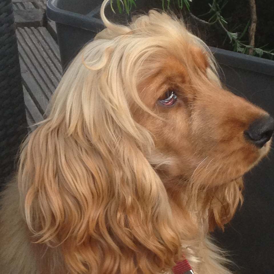 Has anyone else’s water gone off? We are near the Green. | Facebook