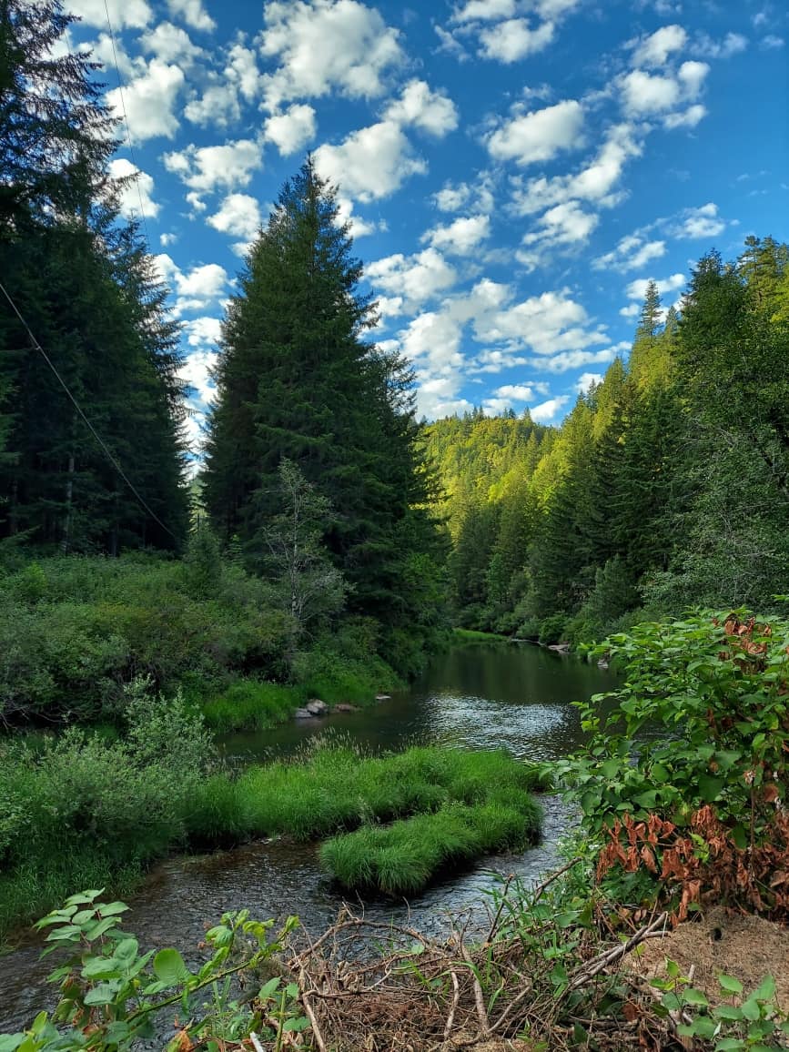 Happy Fourth of July! - Remote Outpost Rv Park and Cabins