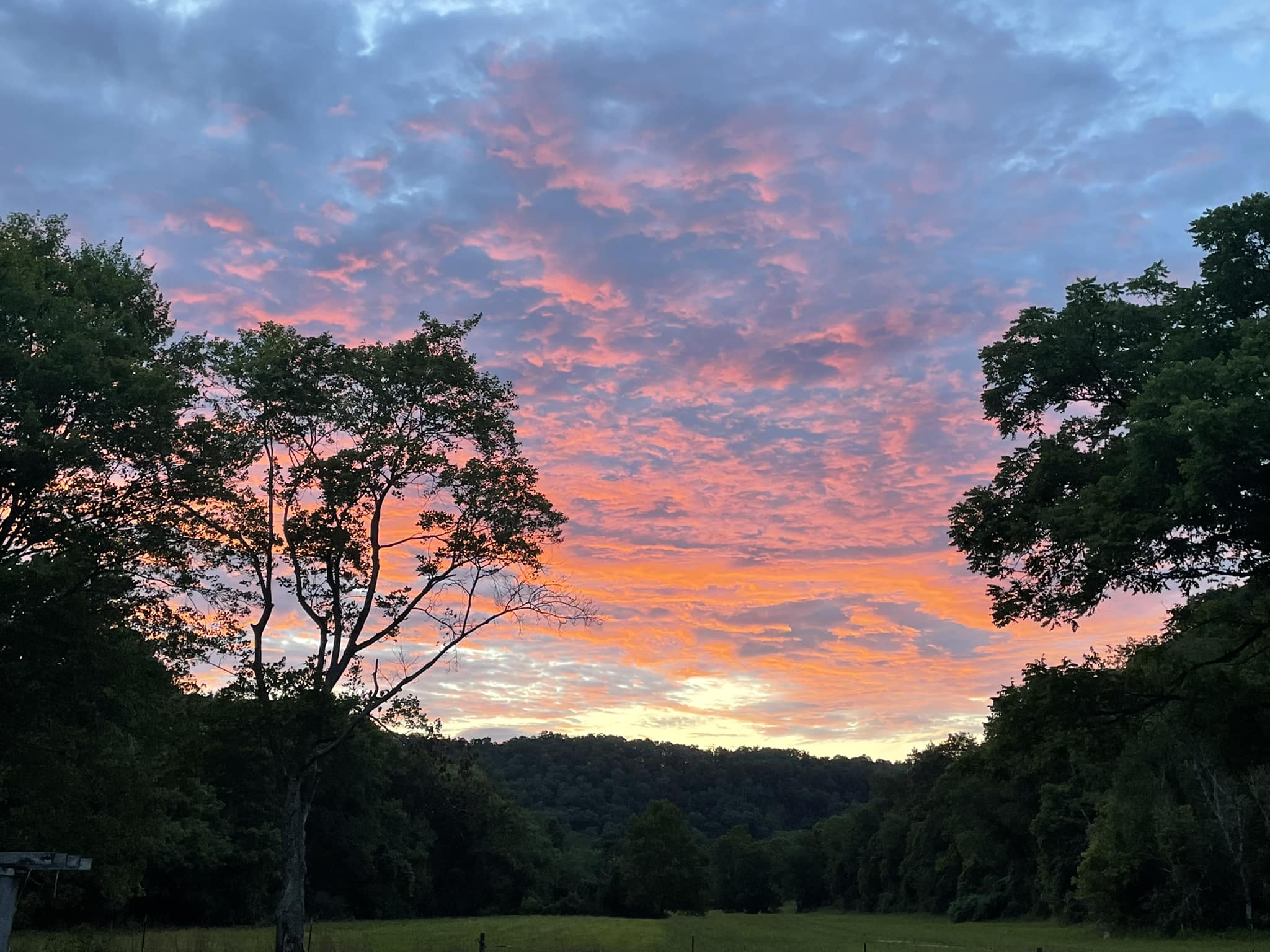 Copperhead Row Hemp Farms | Grantsville WV