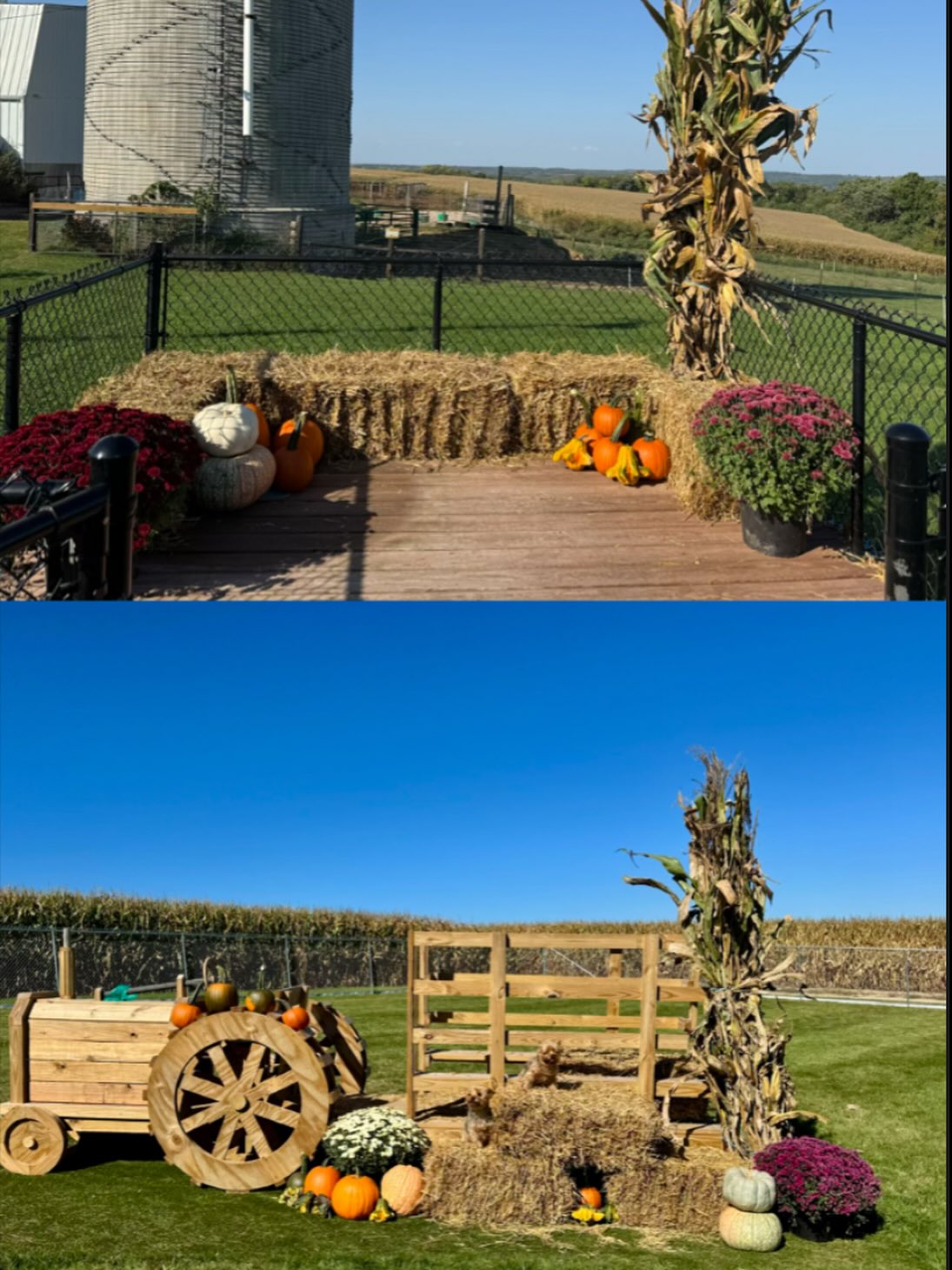 Dairy - 🍂 Fall photoshoot ready! This is the perfect spot to snap a ...