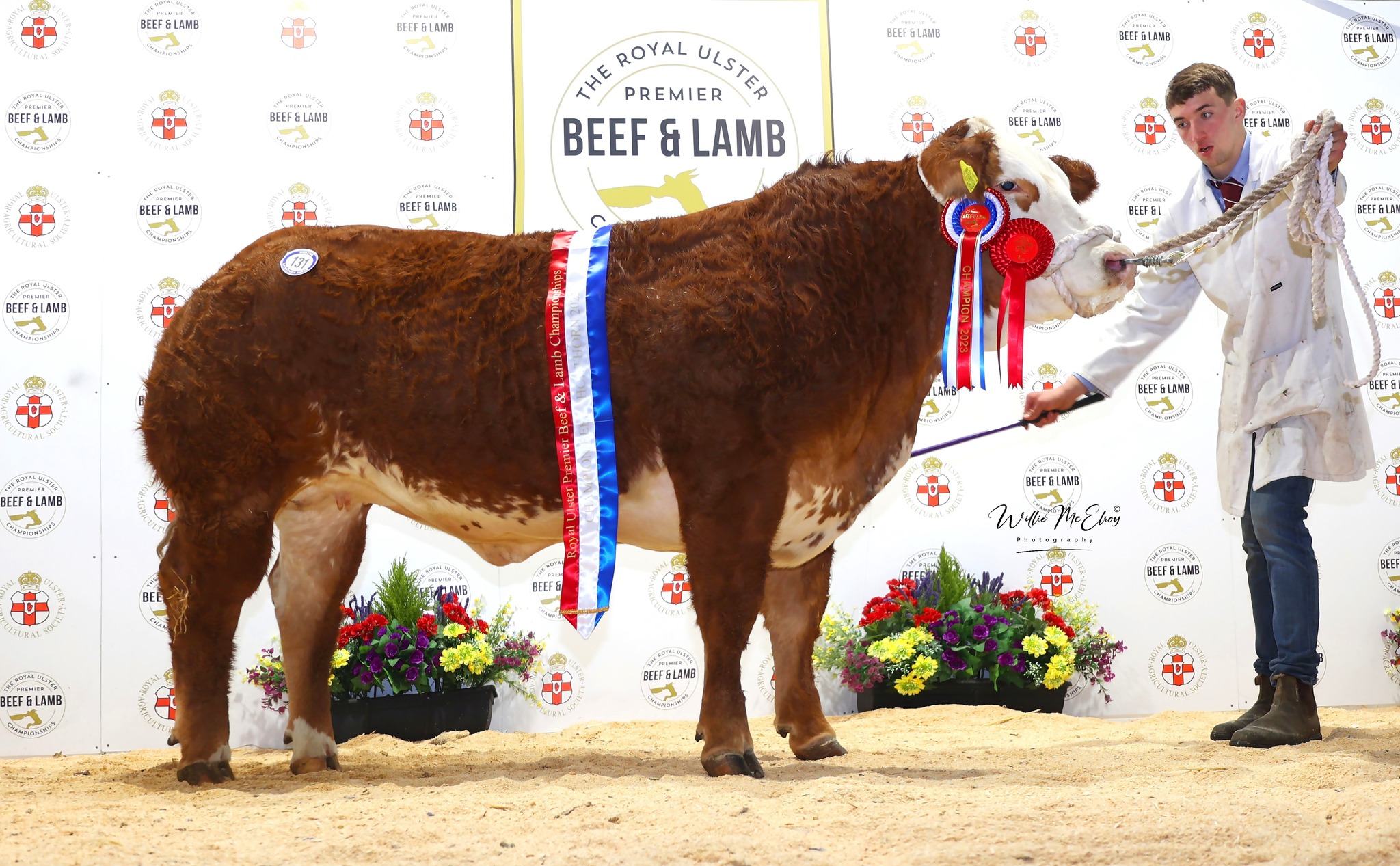 ⚡️🔥STOP PRESS: JALEX... - British Simmental Cattle Society | Facebook