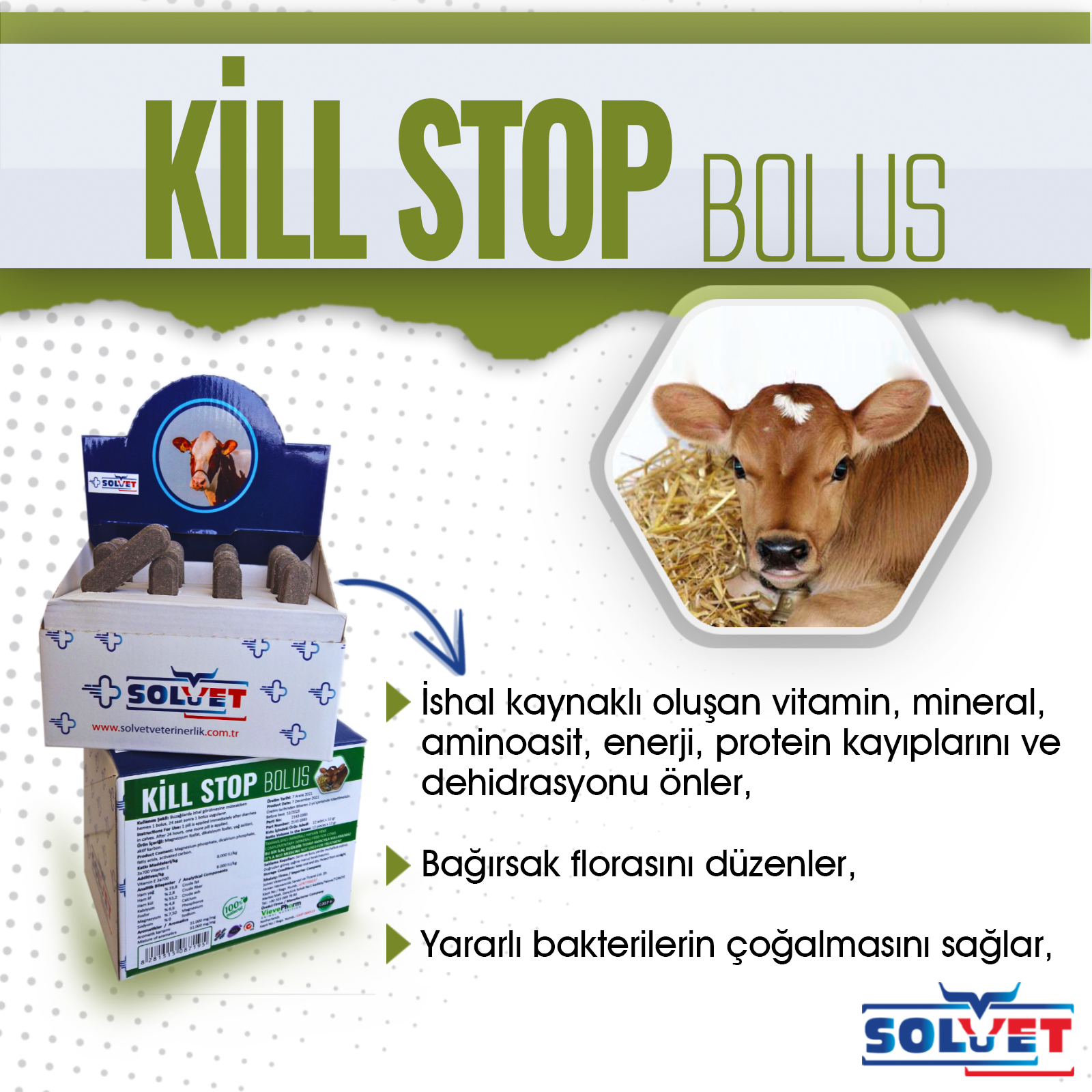 Solvet Veterinerlik | Yalova