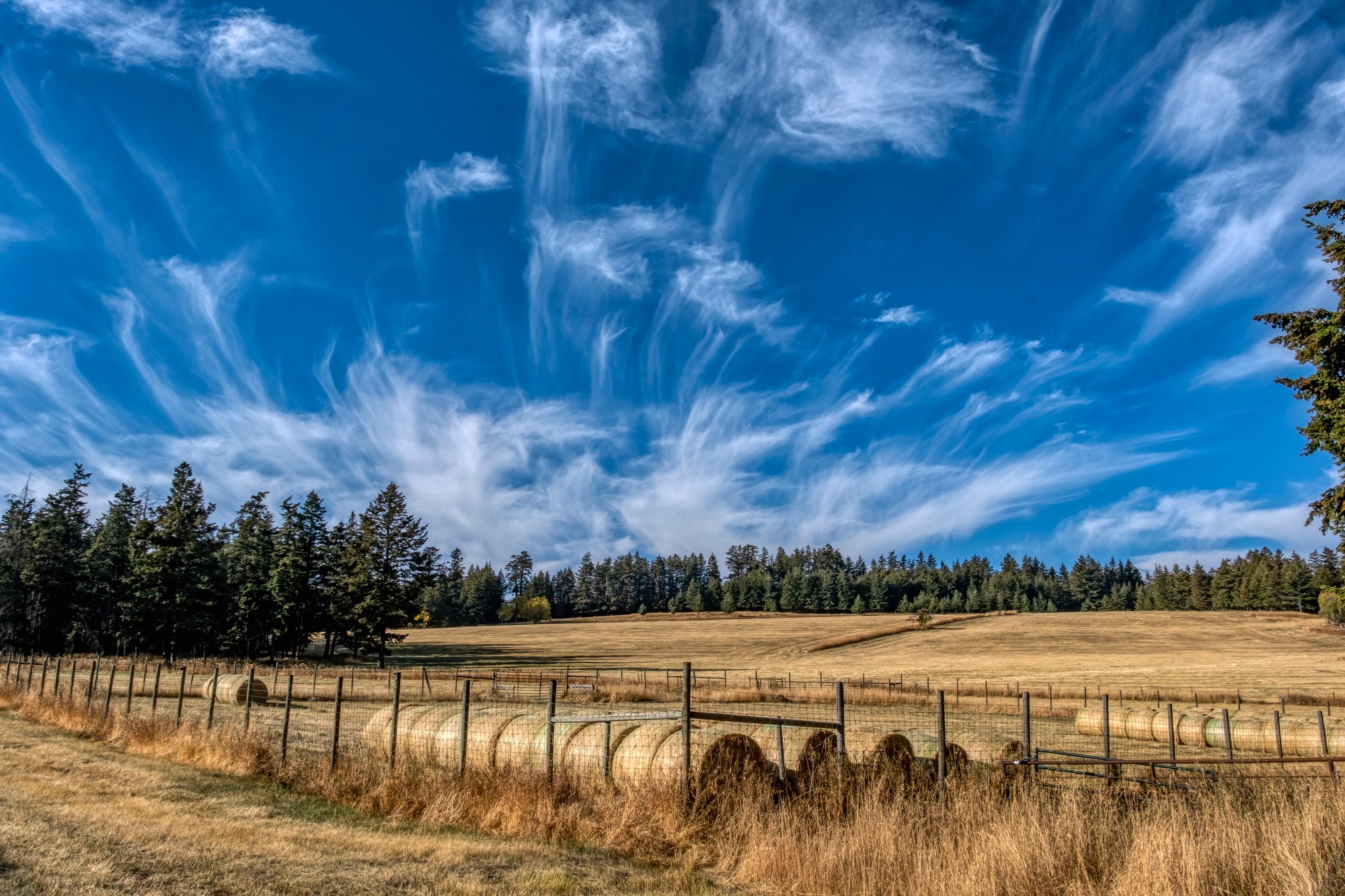 Some interesting clouds over the... - Anfield Photography