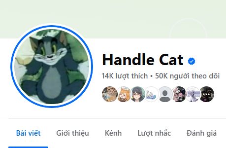 Handle Cat