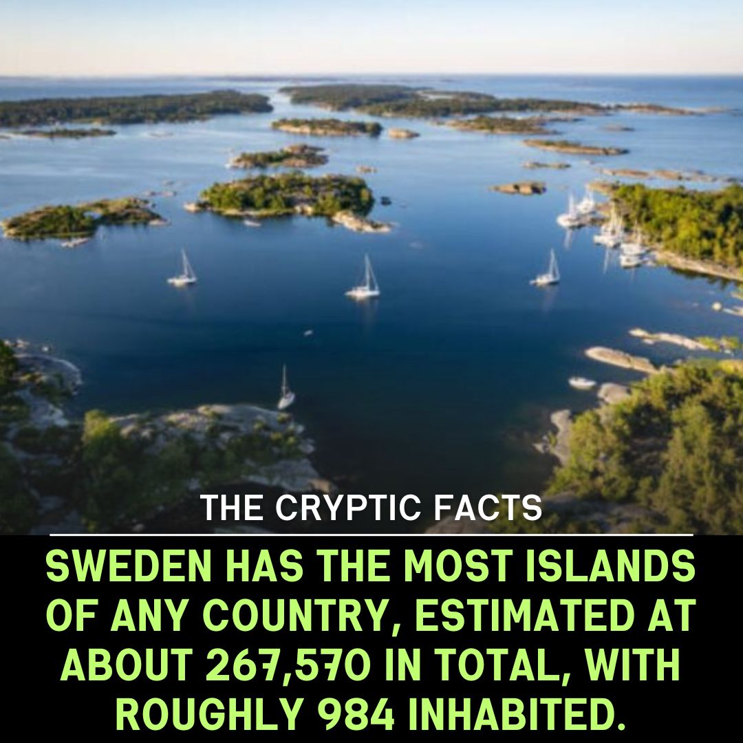 The Cryptic facts | Orlando FL
