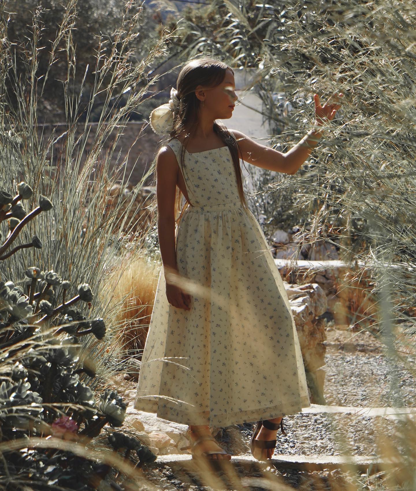 𓂃 ꕤ HOUSE OF PALOMA Maison D'été SS24 collection Launch time