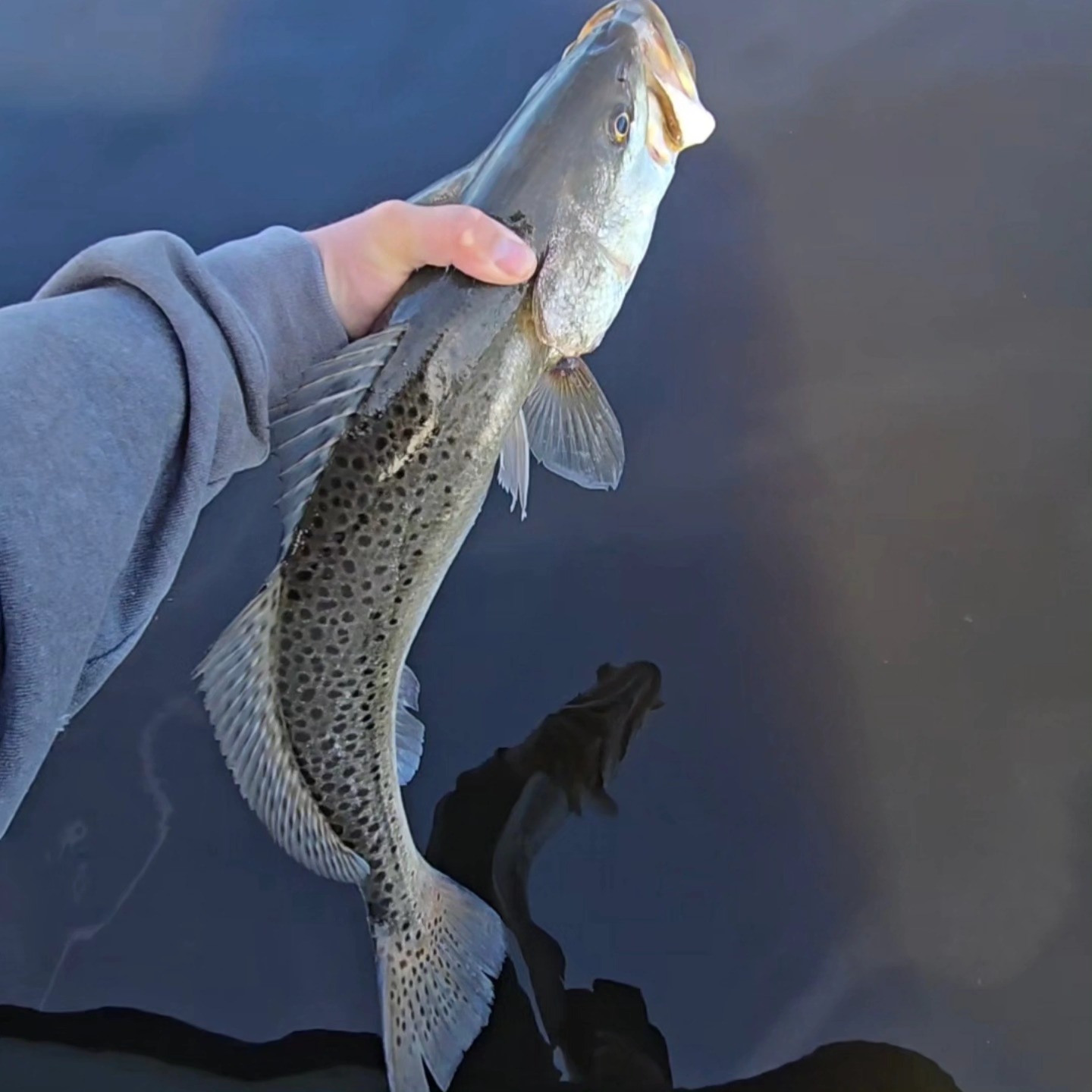 Foolproof Fishing