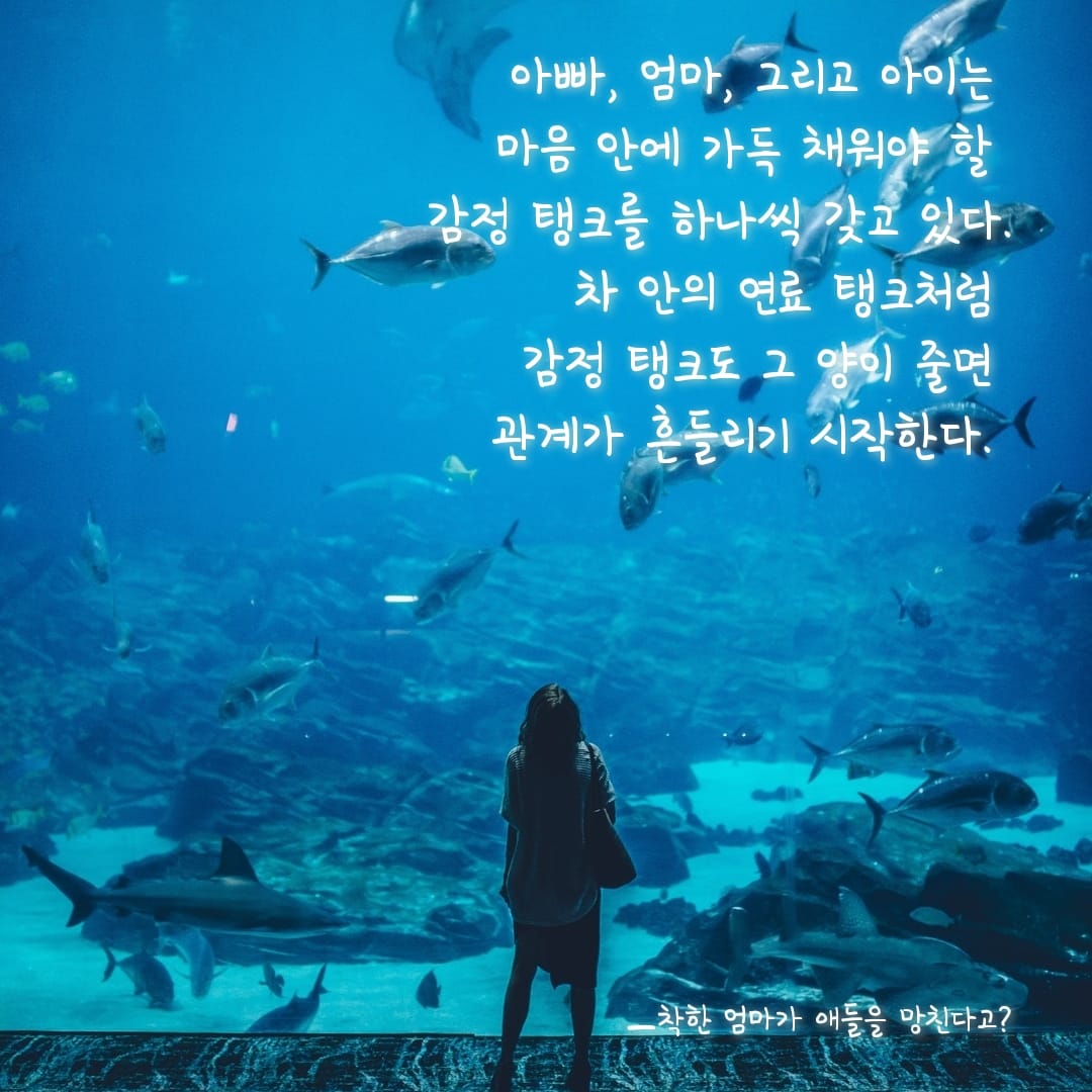 도서출판 새얀