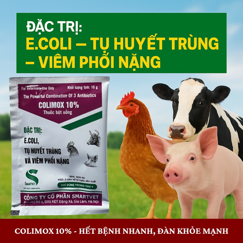 Công ty Cổ phần Smartvet | Hanoi
