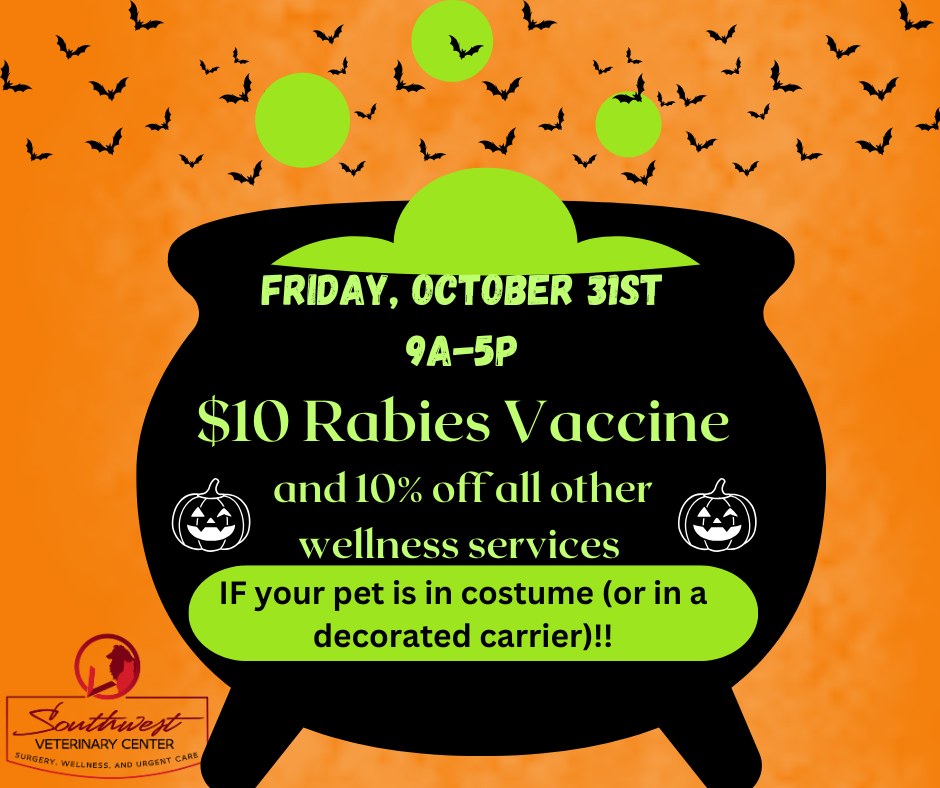 Halloween Rabies Vaccine Drive