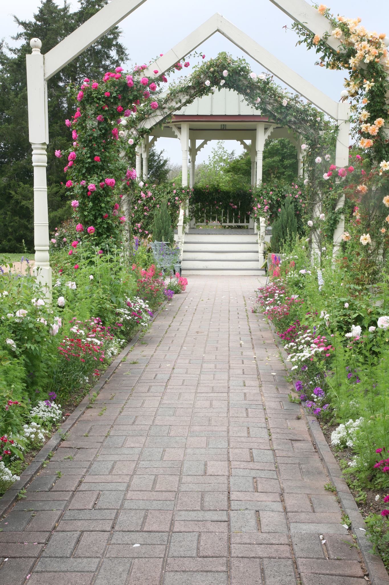 Antique Rose Emporium Weddings | Brenham TX