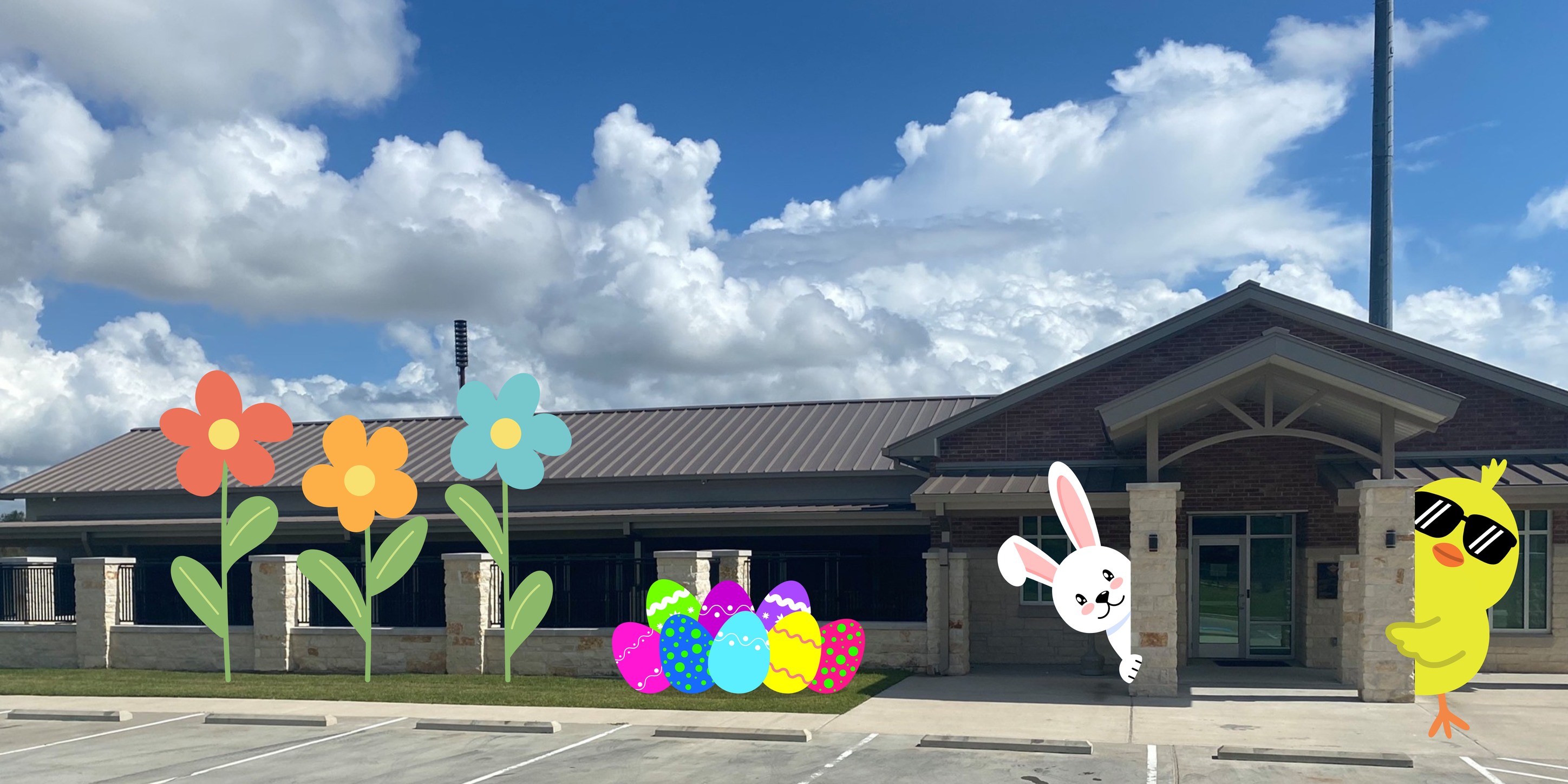 Deer Park Animal Shelter | Deer Park TX