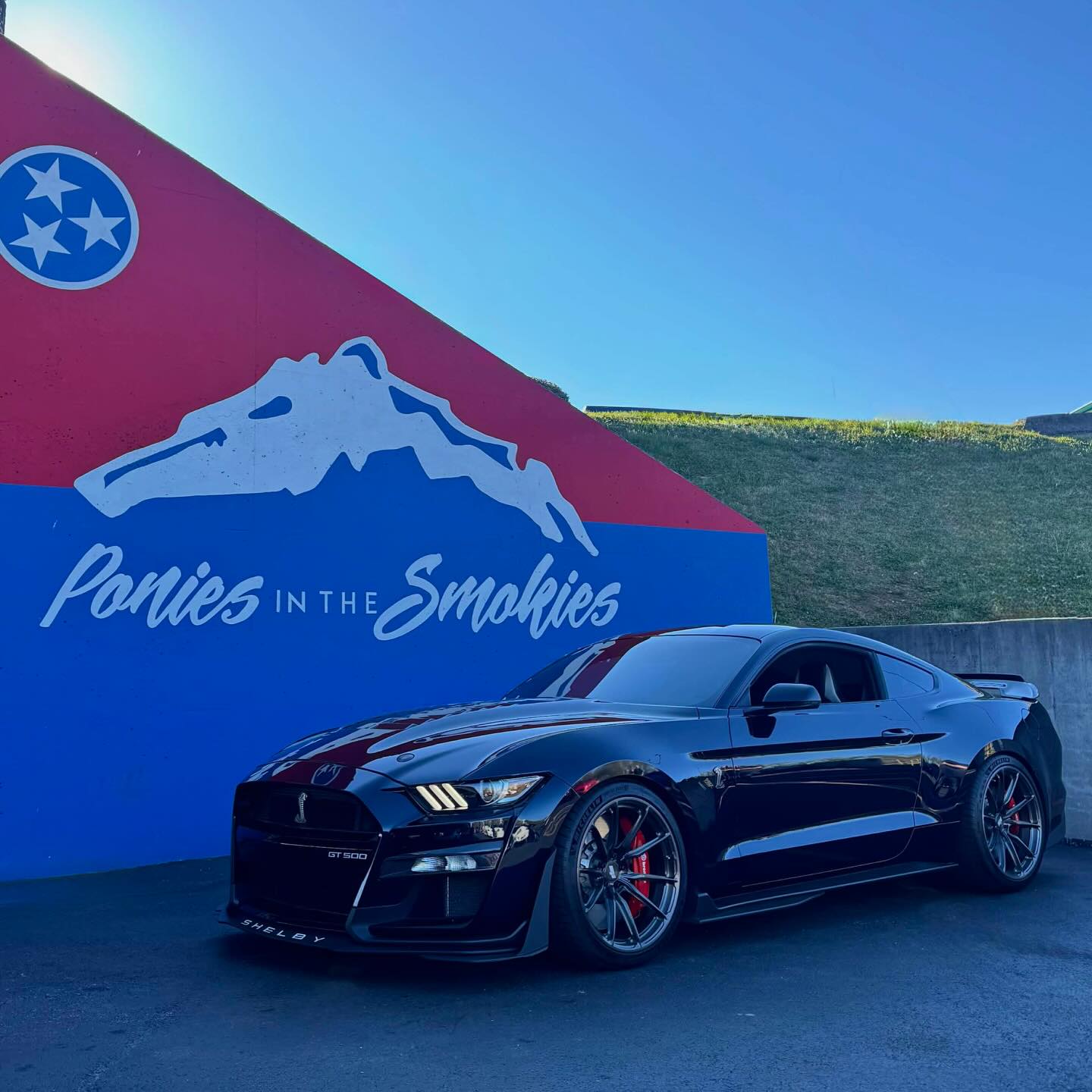 SP2+GT500=🫶🏽 SP2-1009 setup on a #GT500 Mustang looking fabulous