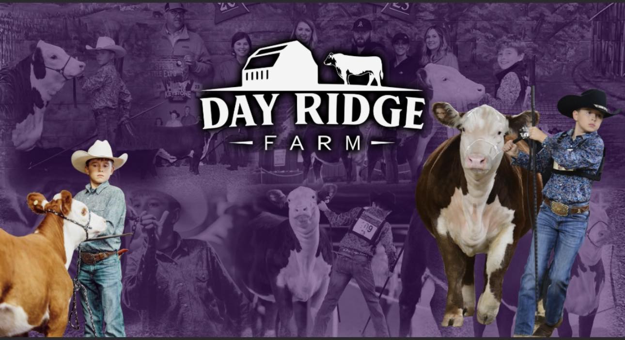 Triple Creek Farm Herefords... - Triple Creek Farm Herefords