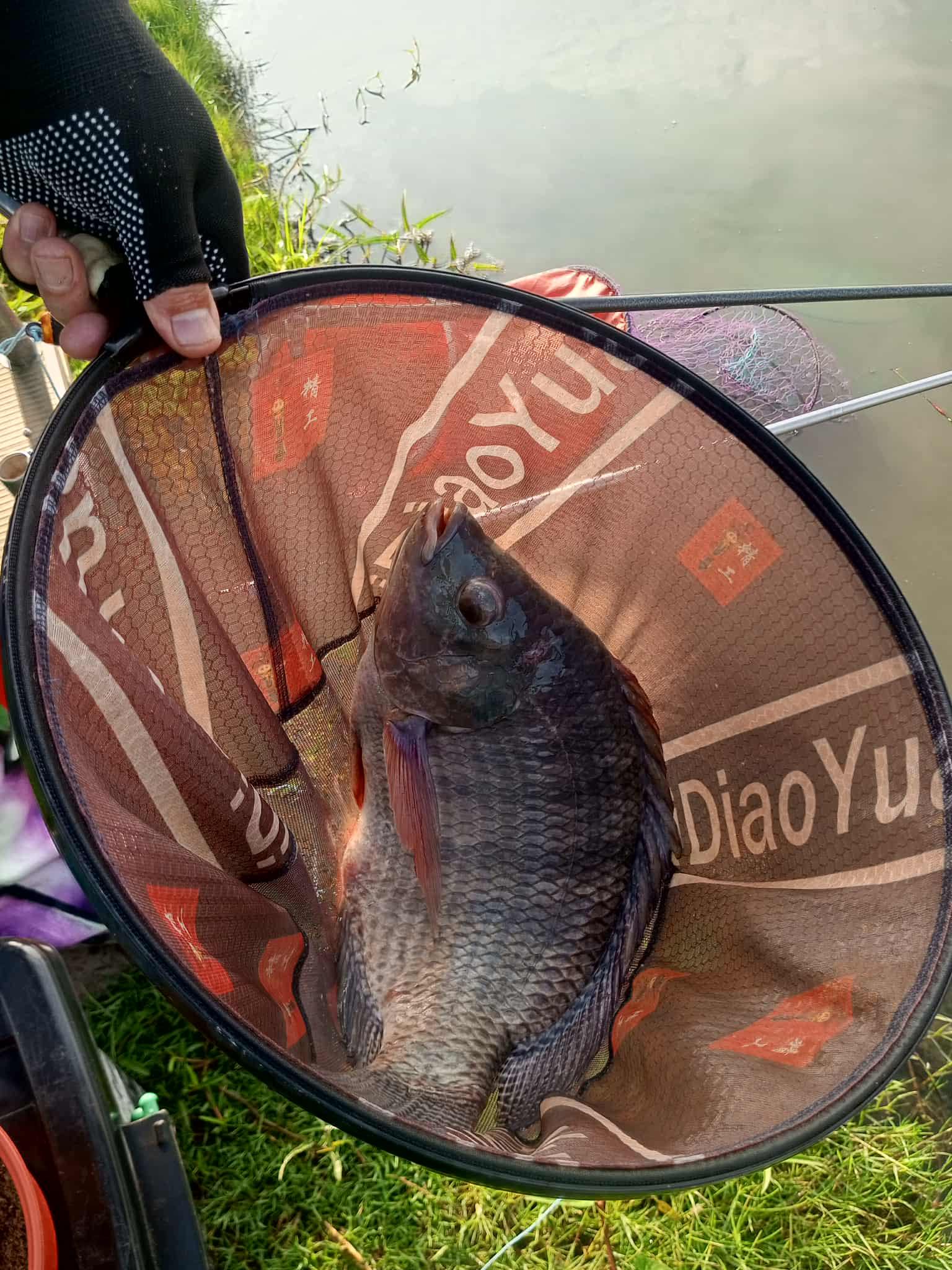 MAYYA Fishing & cafe | Amphoe Lam Luk Ka