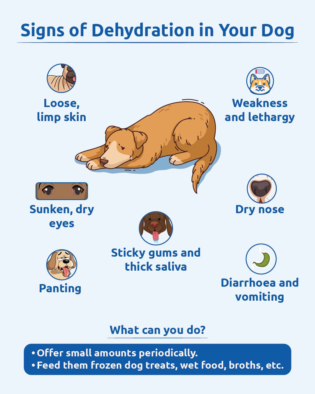 Curated visual reference: Fresh Look at Blep