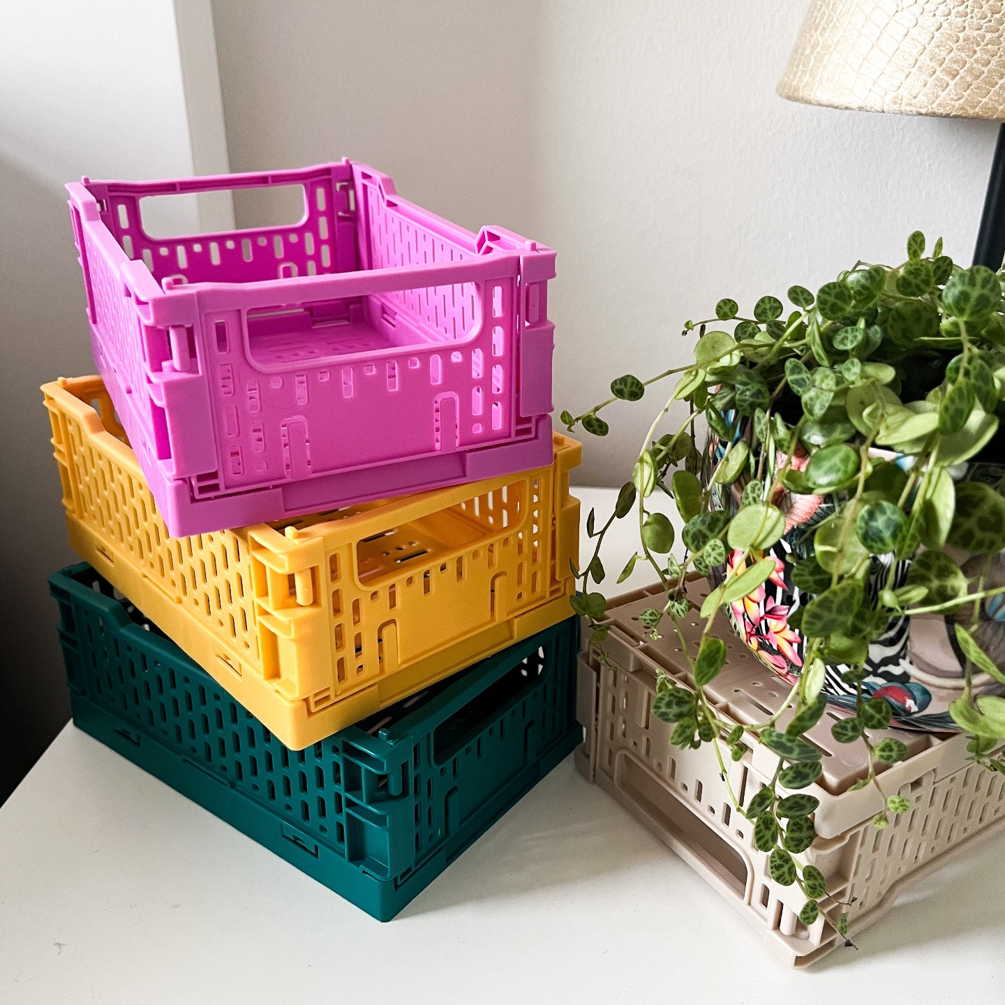 So süß und bunt war Ordnung noch nie! 😍 Diese Klappboxen sind ideal für Malsachen, Urlaubspostkarten und andere Kleinigkeiten. 🎨 🔑 Klappbox (10x15 cm): je 1,29€ #Zeeman #klappbox #Miniklappbox #interior #homedeco