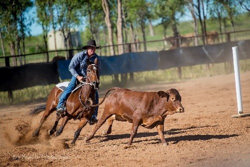 Charters Towers Historical Photo Club-Horse Clubs, Rodeos & Shows