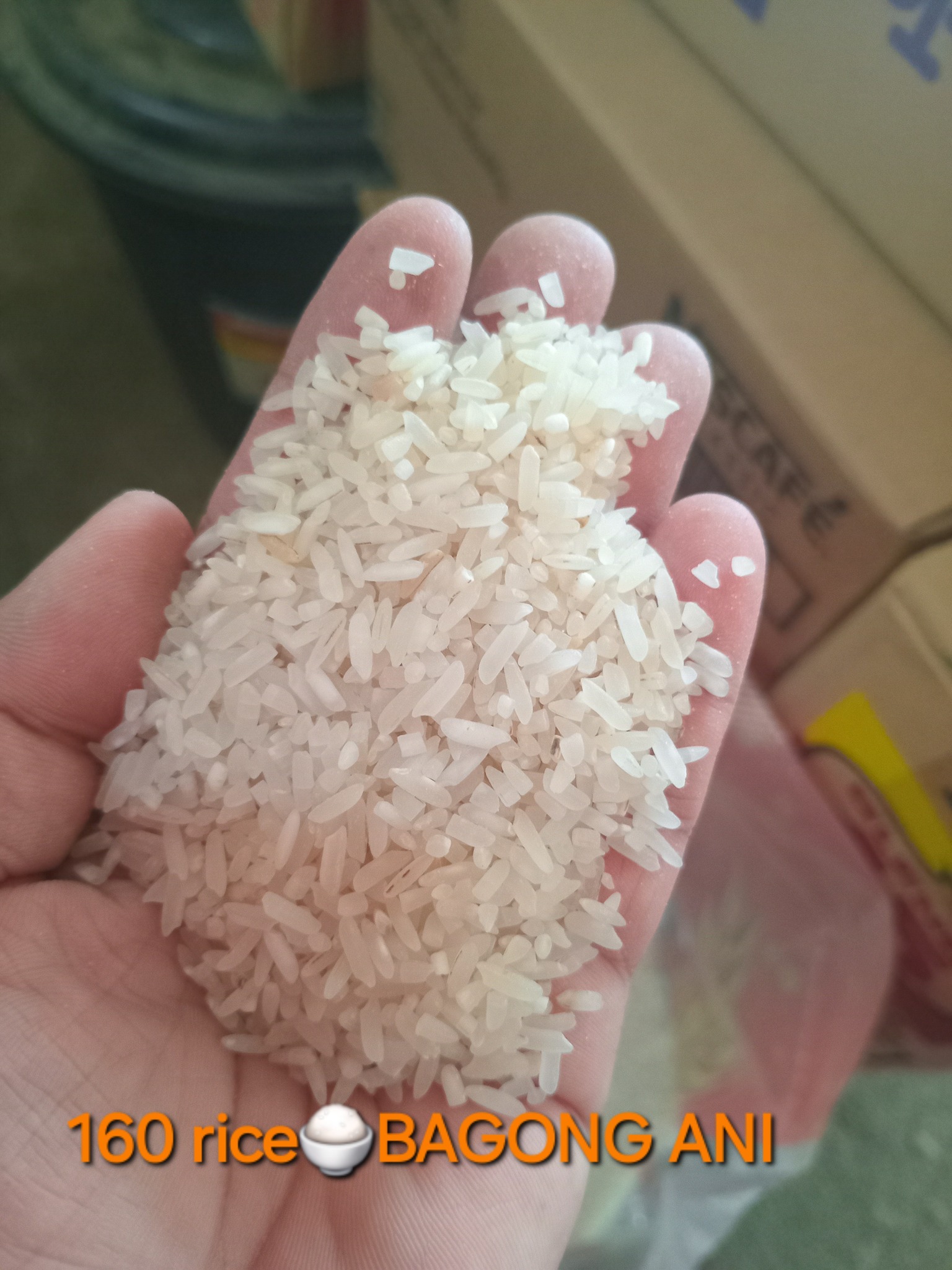 B. Solomon Rice and Palay Trading | Santa Cruz