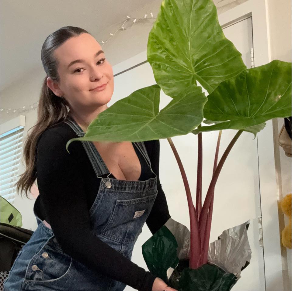 Show, sell and exchange indoor plants in Portland and Vancouver | ISO a ...