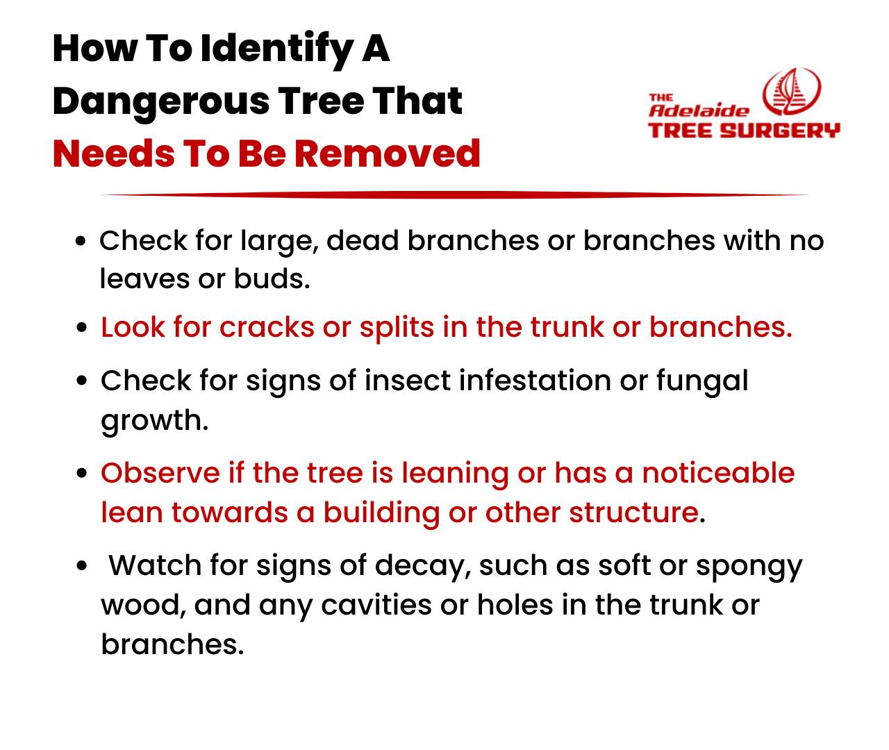 How to identify a dangerous tree... - Adelaide Tree Surgery