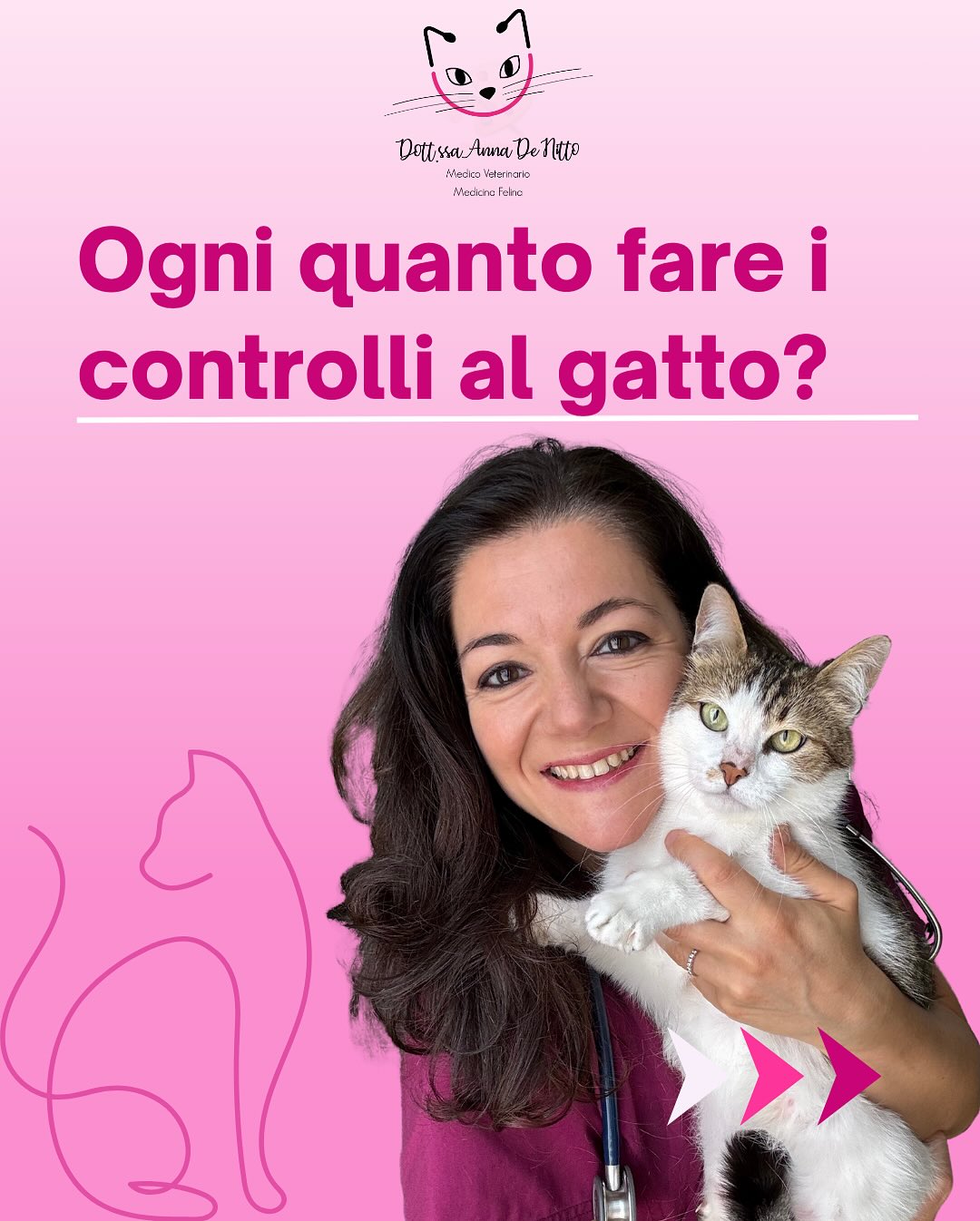 Quando è... - Dott.ssa Anna De Nitto - Veterinaria per gatti | Facebook
