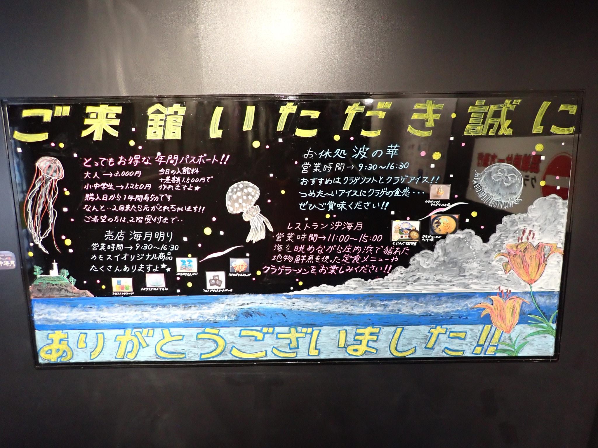 鶴岡市立加茂水族館 - ブラックボードアート現る！ クラゲドリーム 