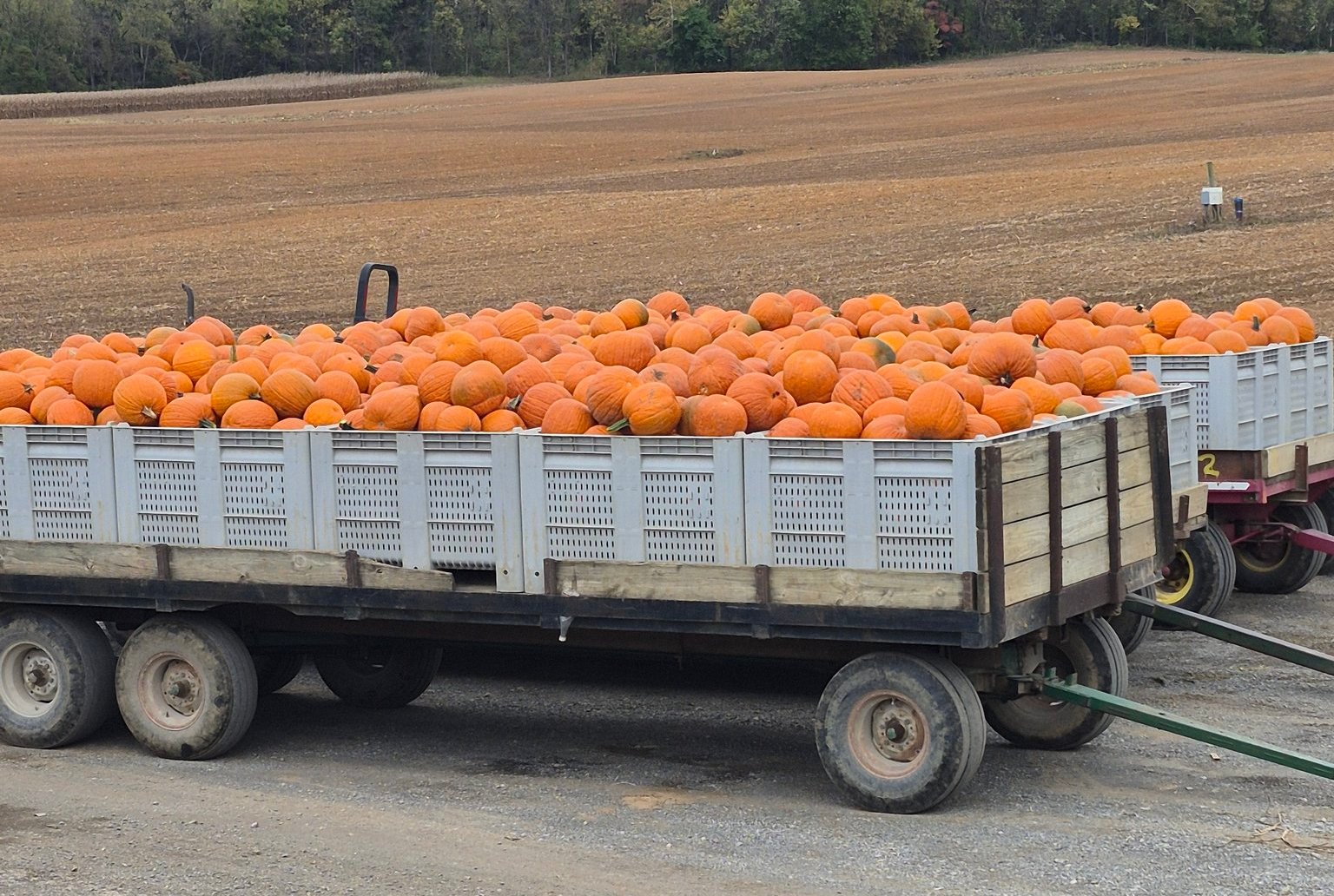 Houser's Produce Farm | Sharpsburg MD